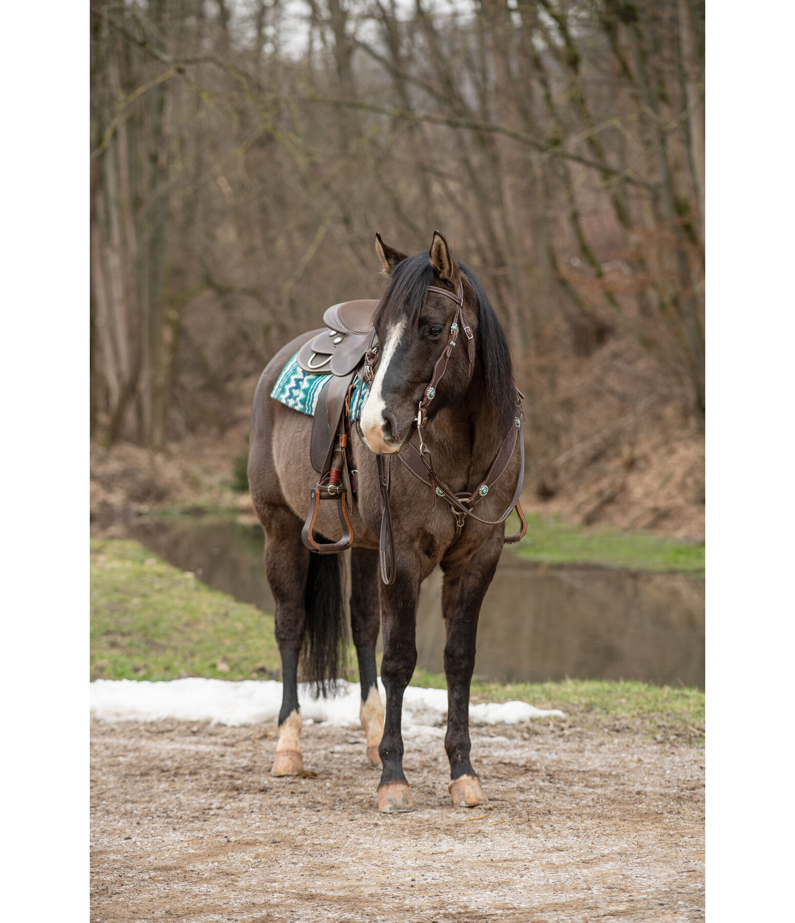 STDK Breastplate Turquoise Dream