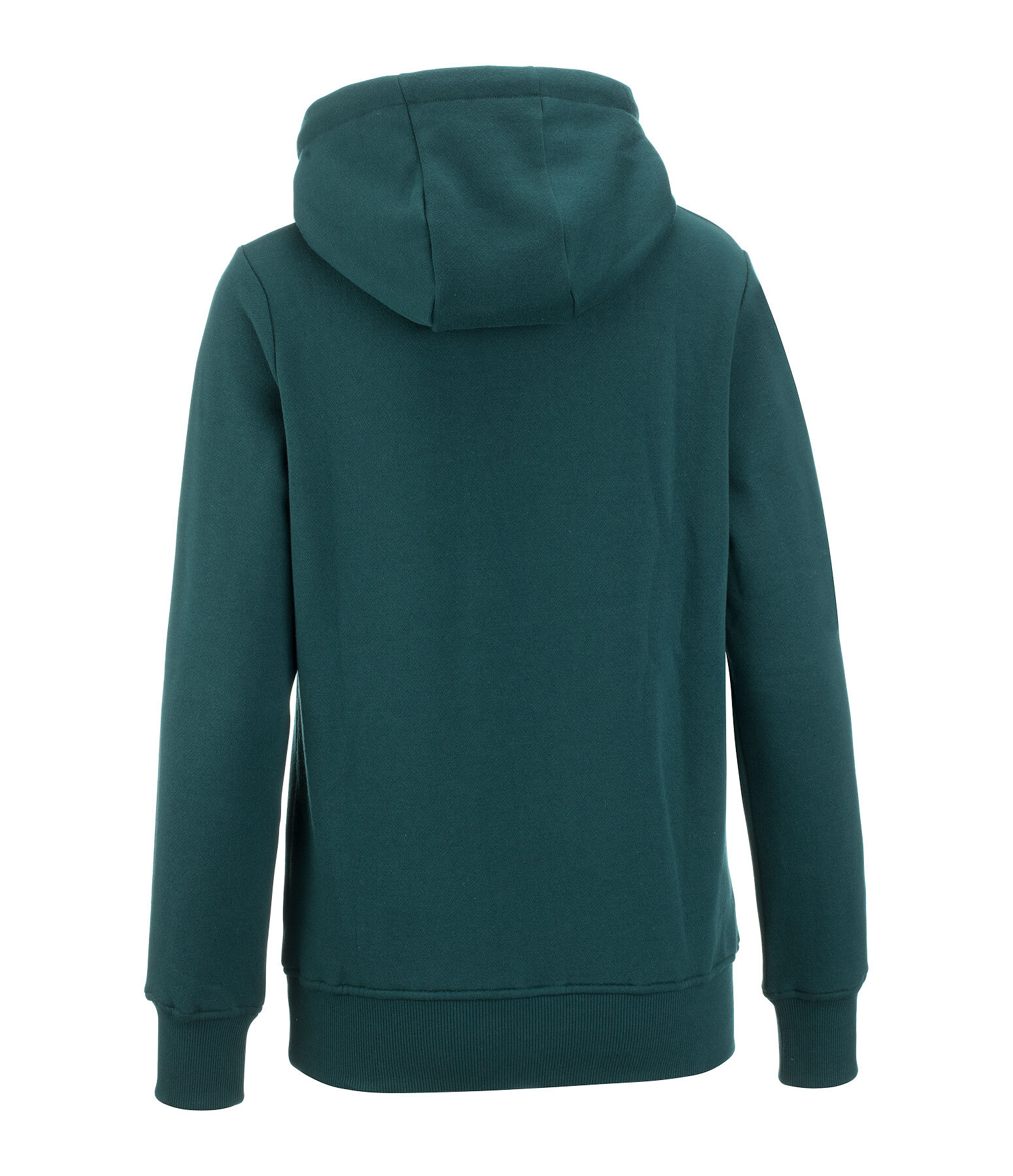 Hoodie Ted