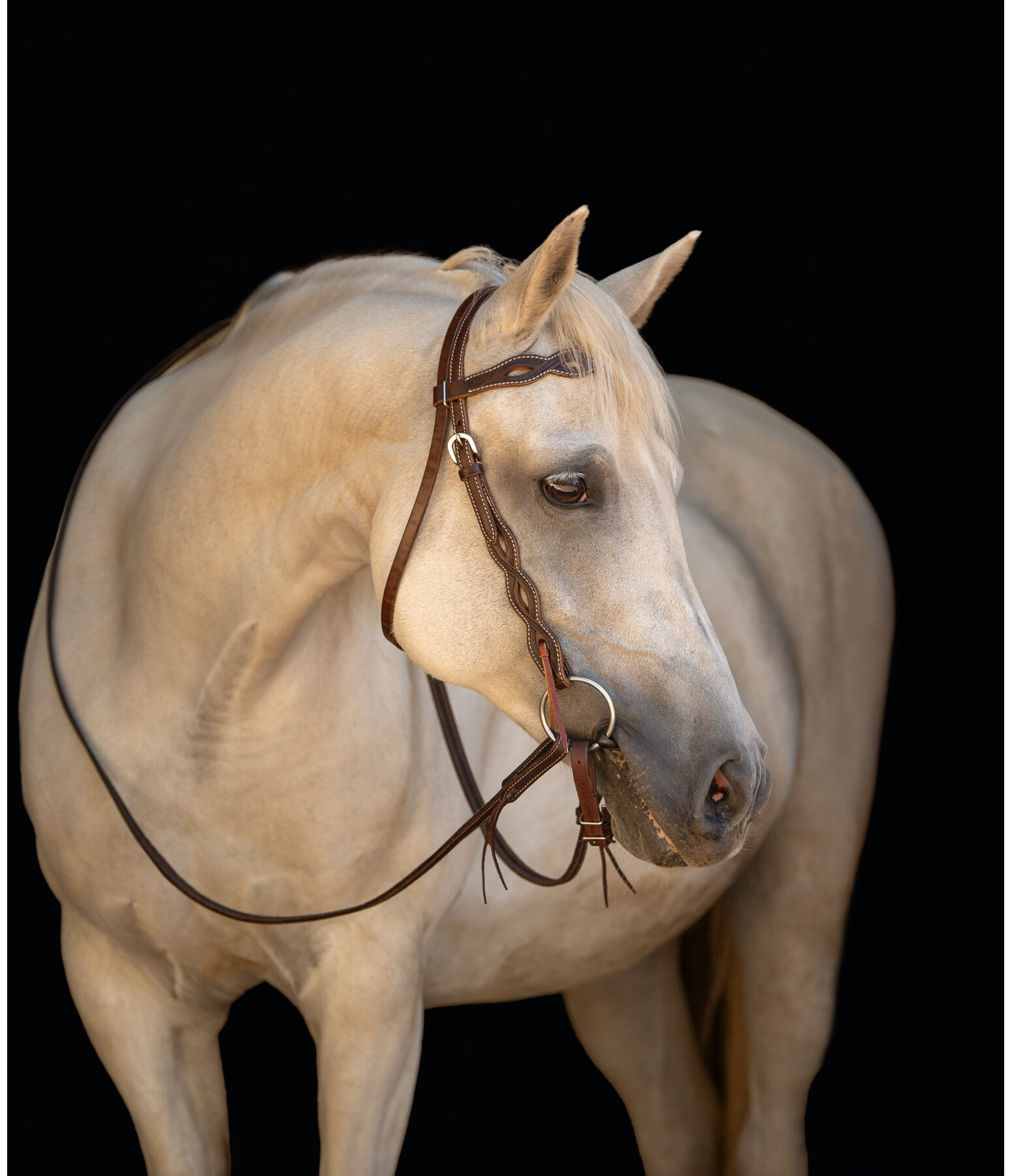 Headstall Cutting