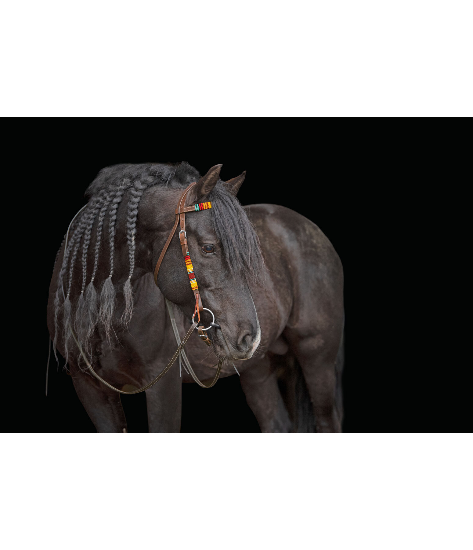 Headstall Perla