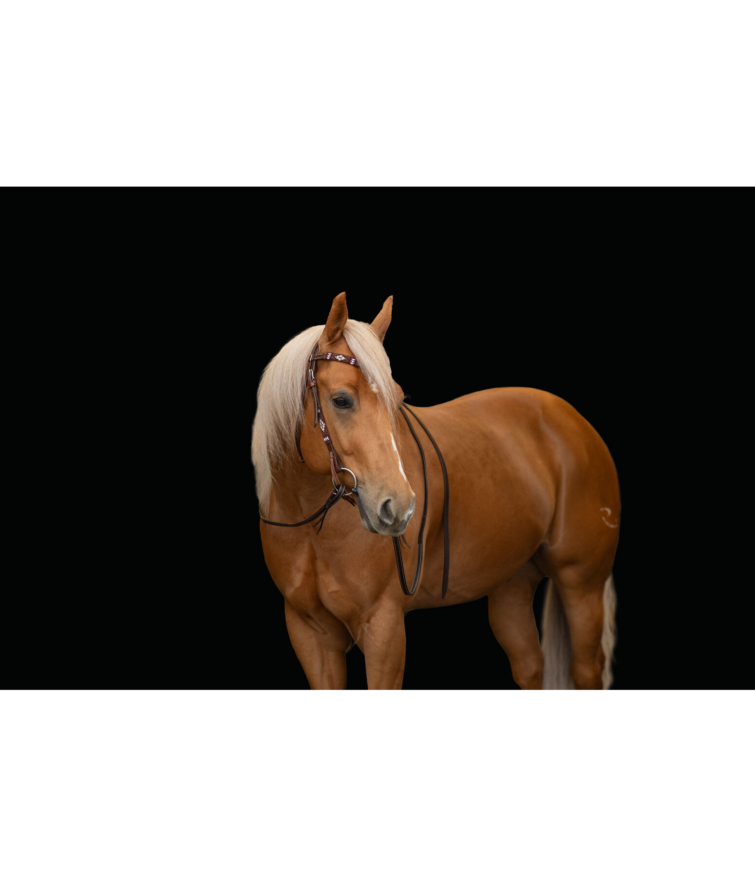 Headstall Ikat