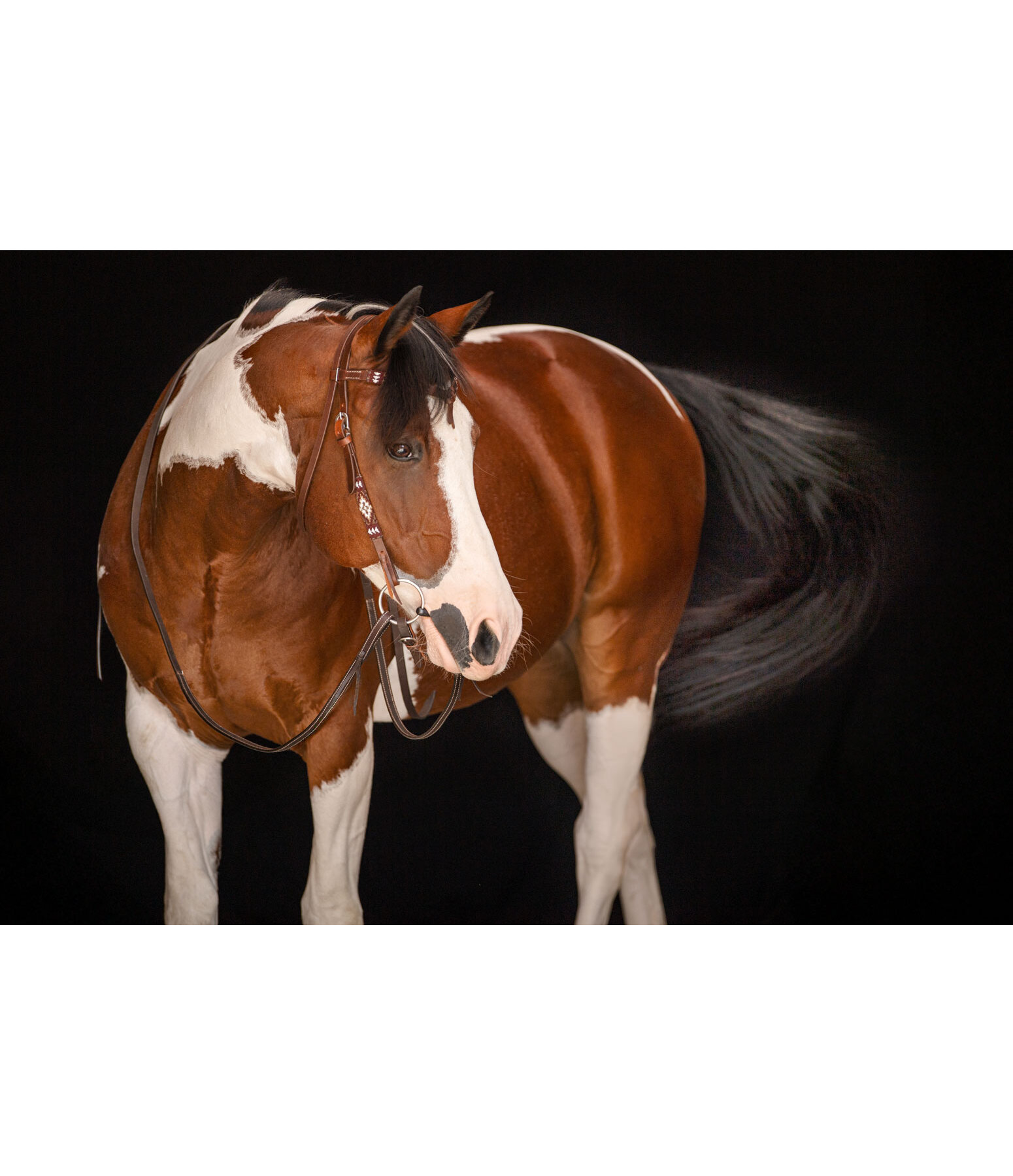 Headstall Ikat