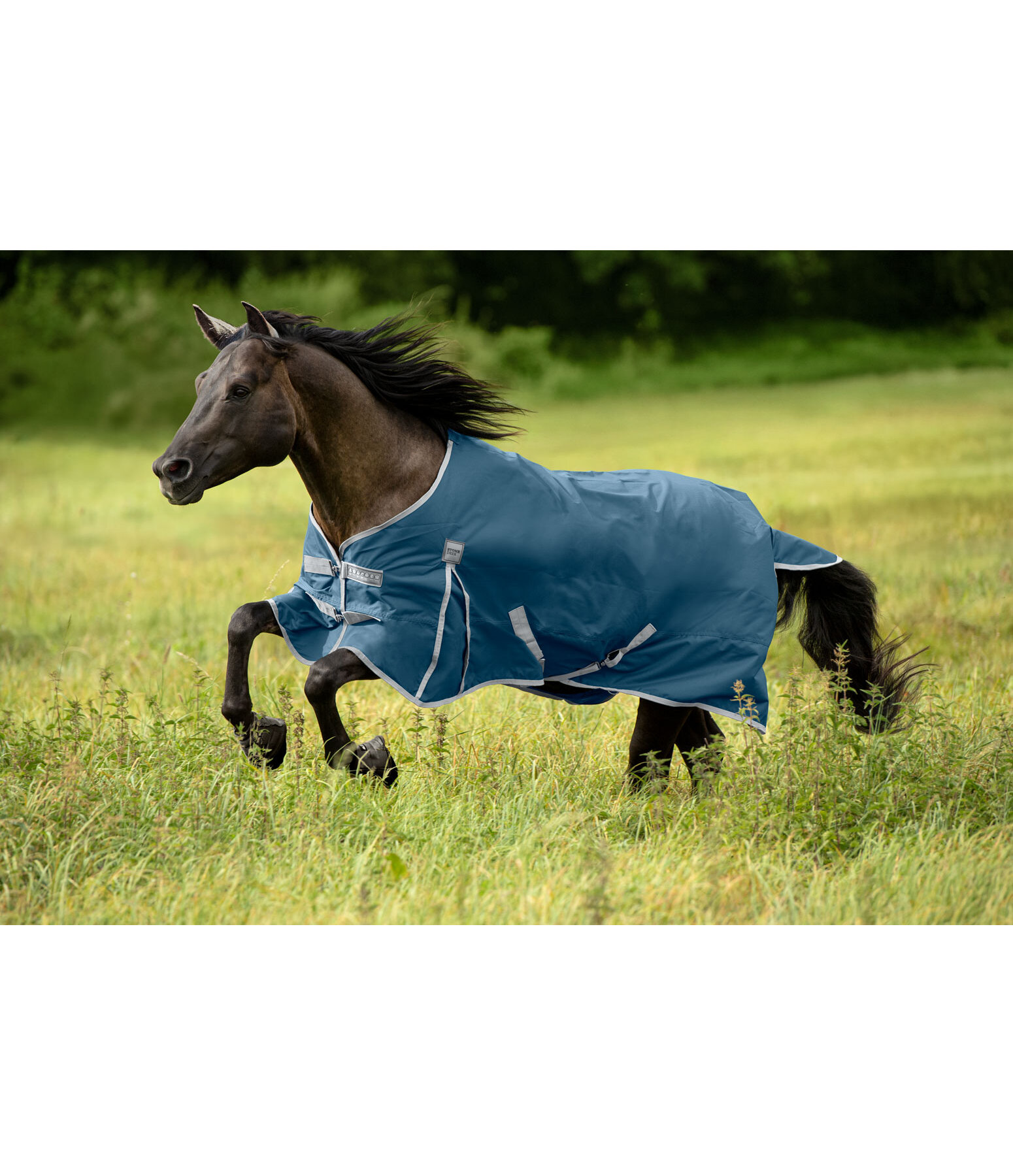 Lightweight Turnout Rug Billy