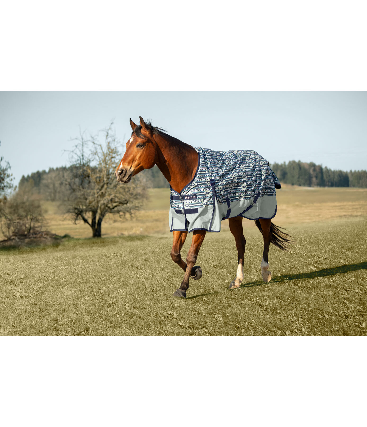 Lightweight Turnout Rug Billy