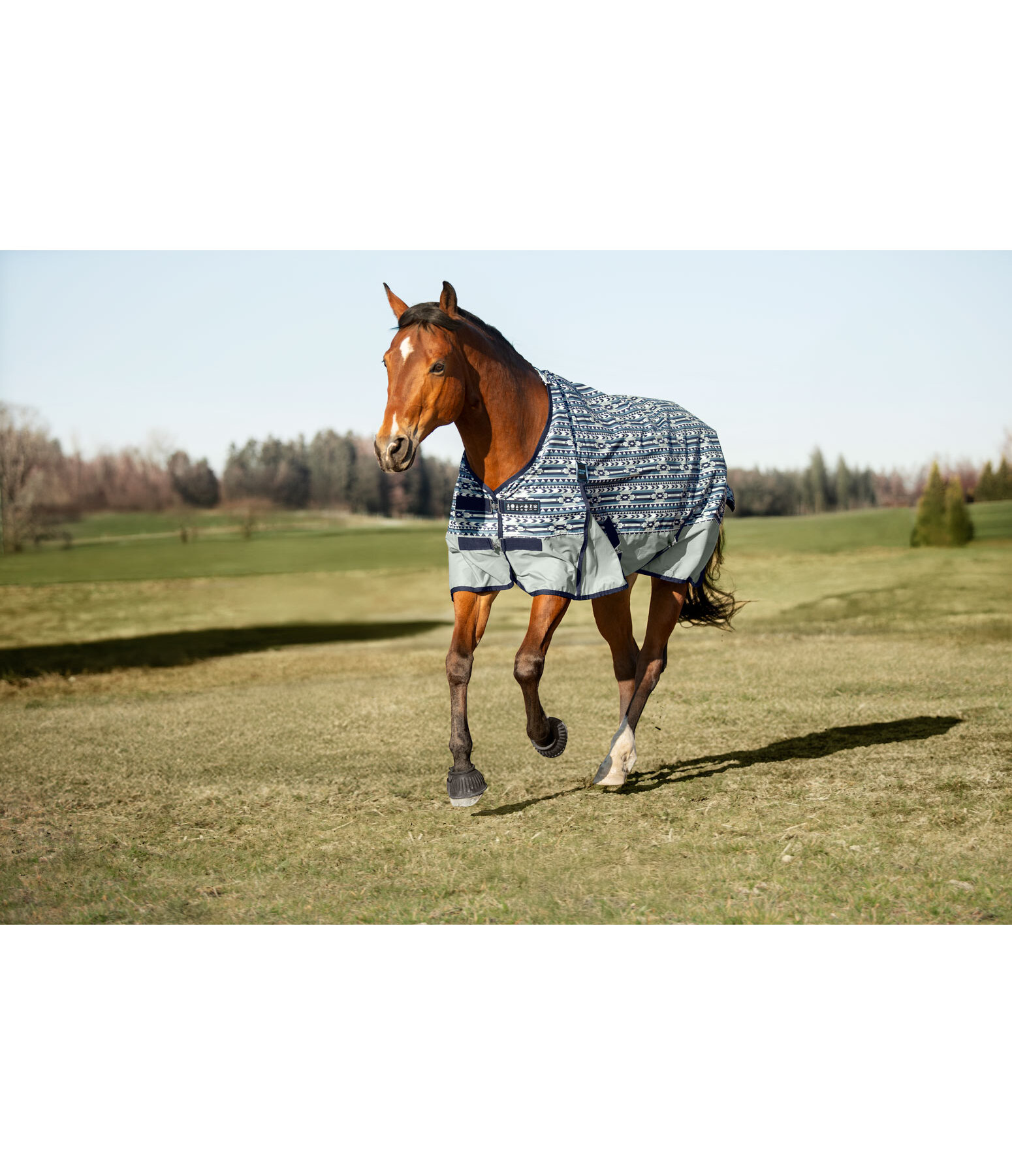 Lightweight Turnout Rug Billy