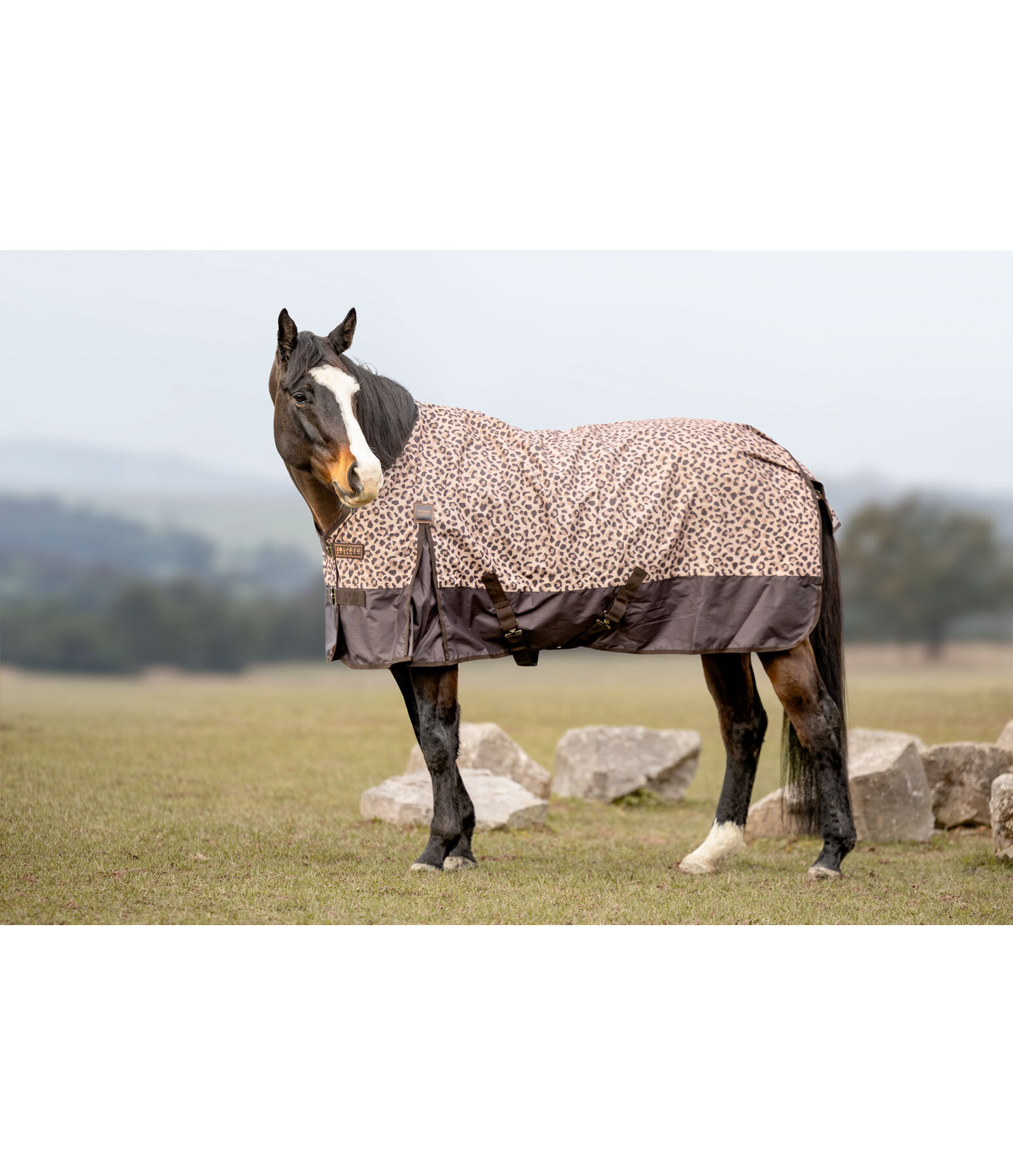 Lightweight Turnout Rug Billy