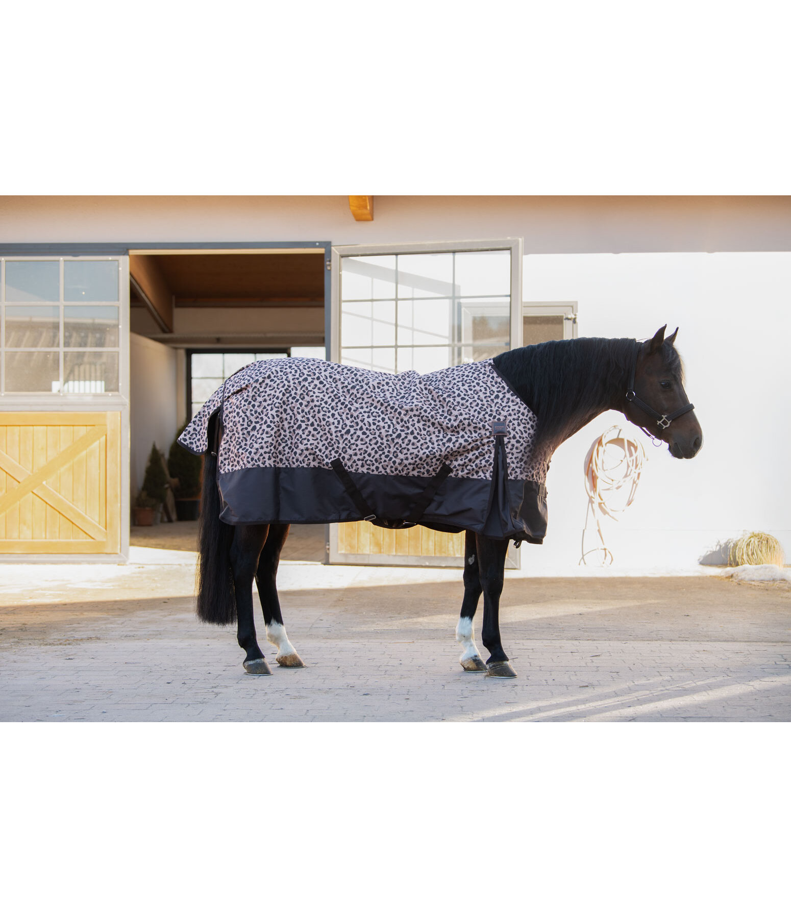 Lightweight Turnout Rug Billy