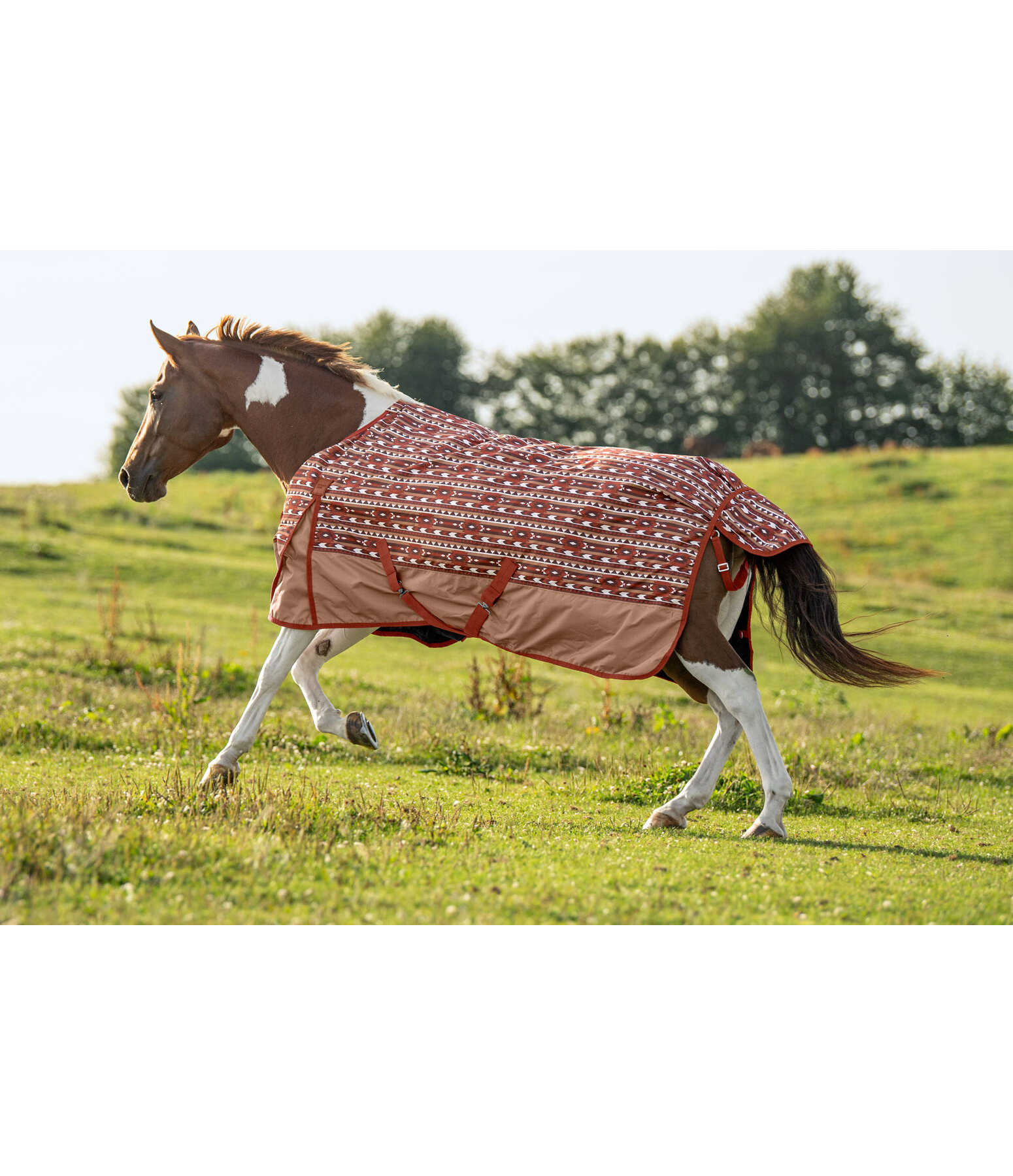 Lightweight Turnout Rug Billy