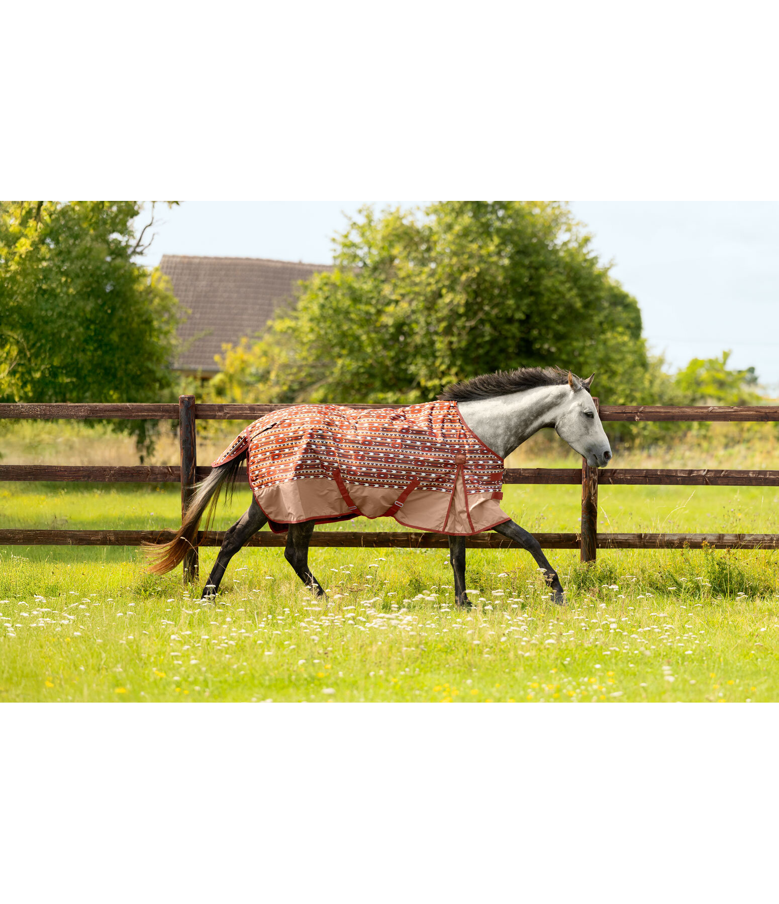 Lightweight Turnout Rug Billy