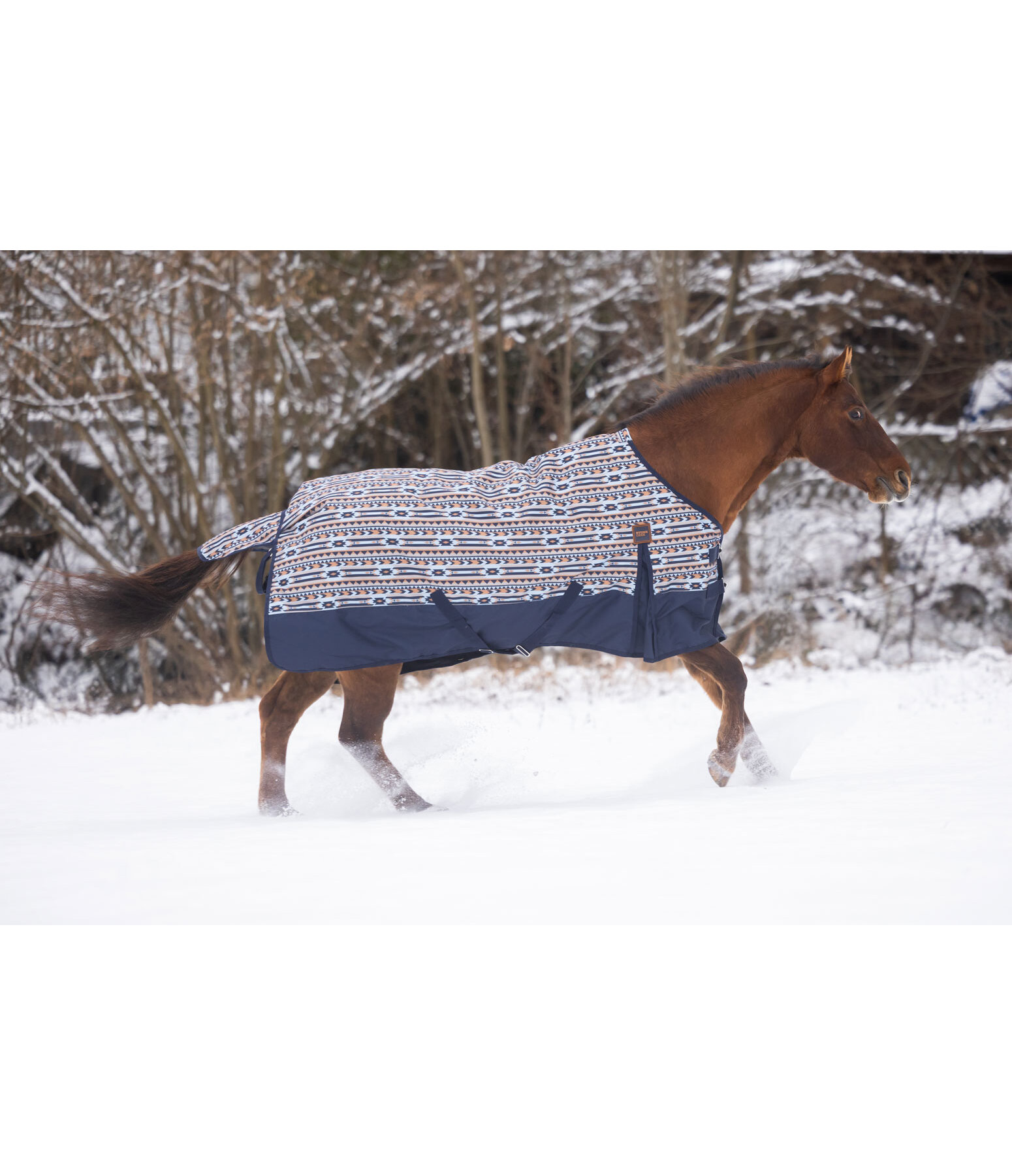 Lightweight Turnout Rug Billy