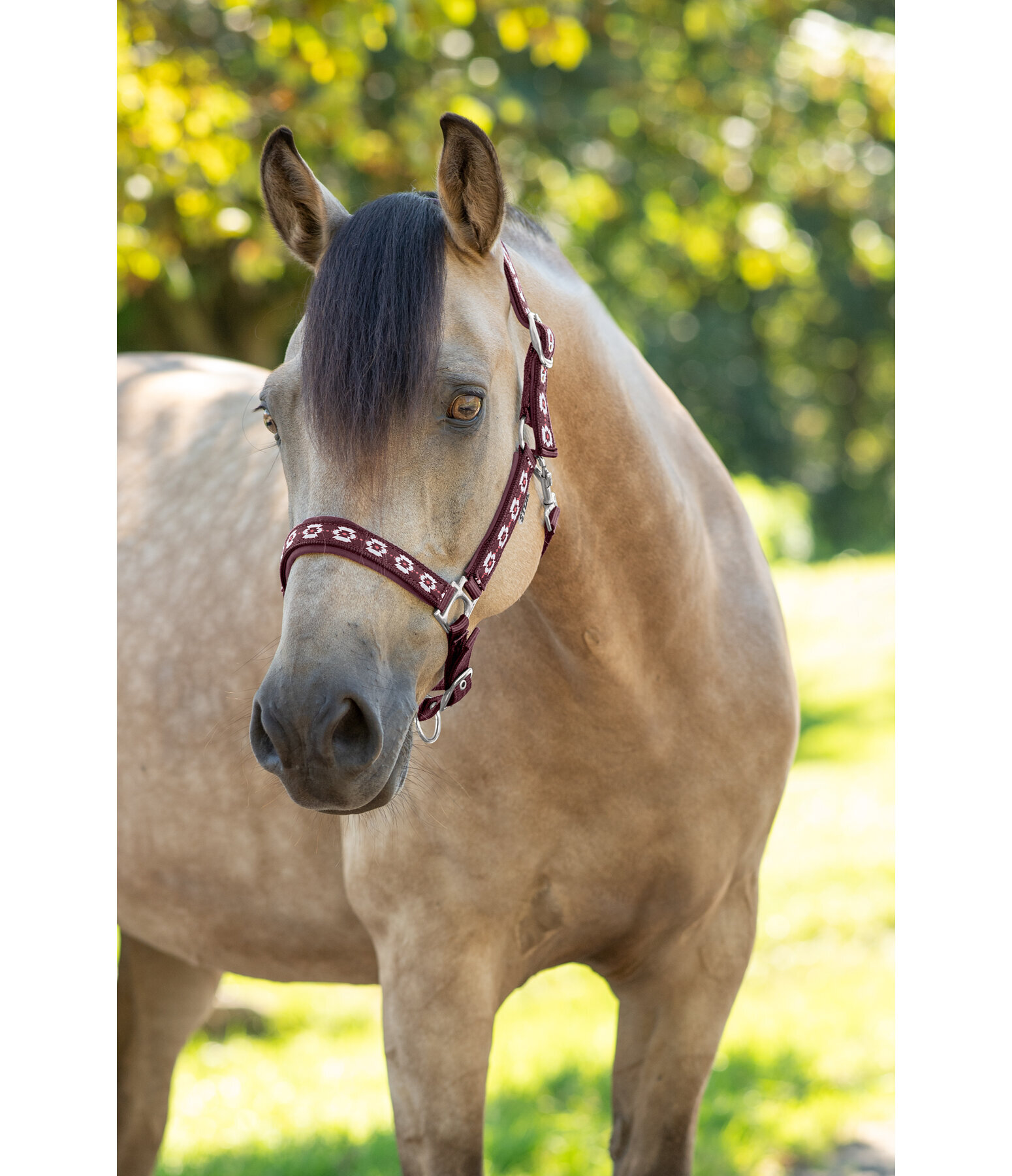 Headcollar Ikat