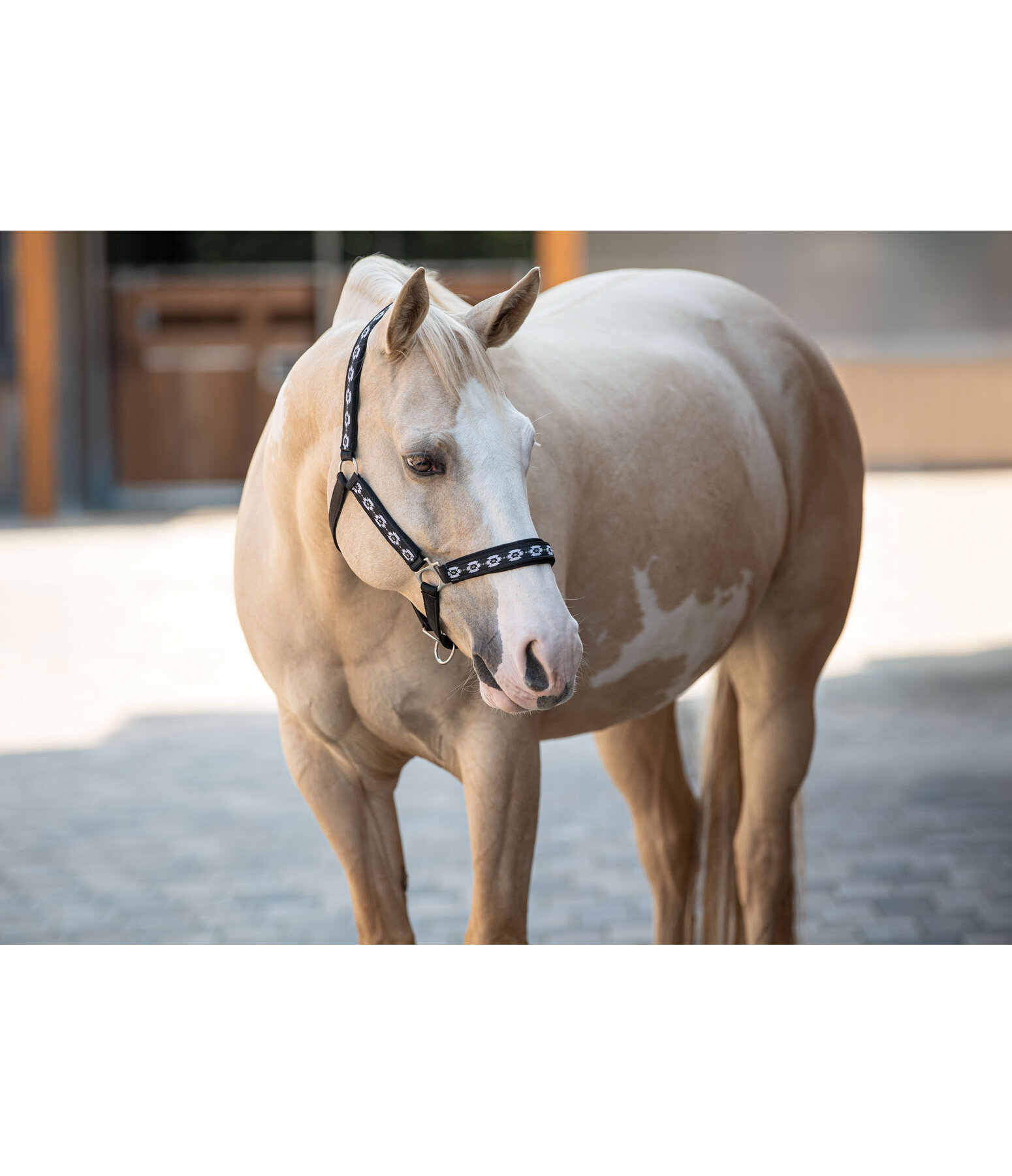 Headcollar Ikat