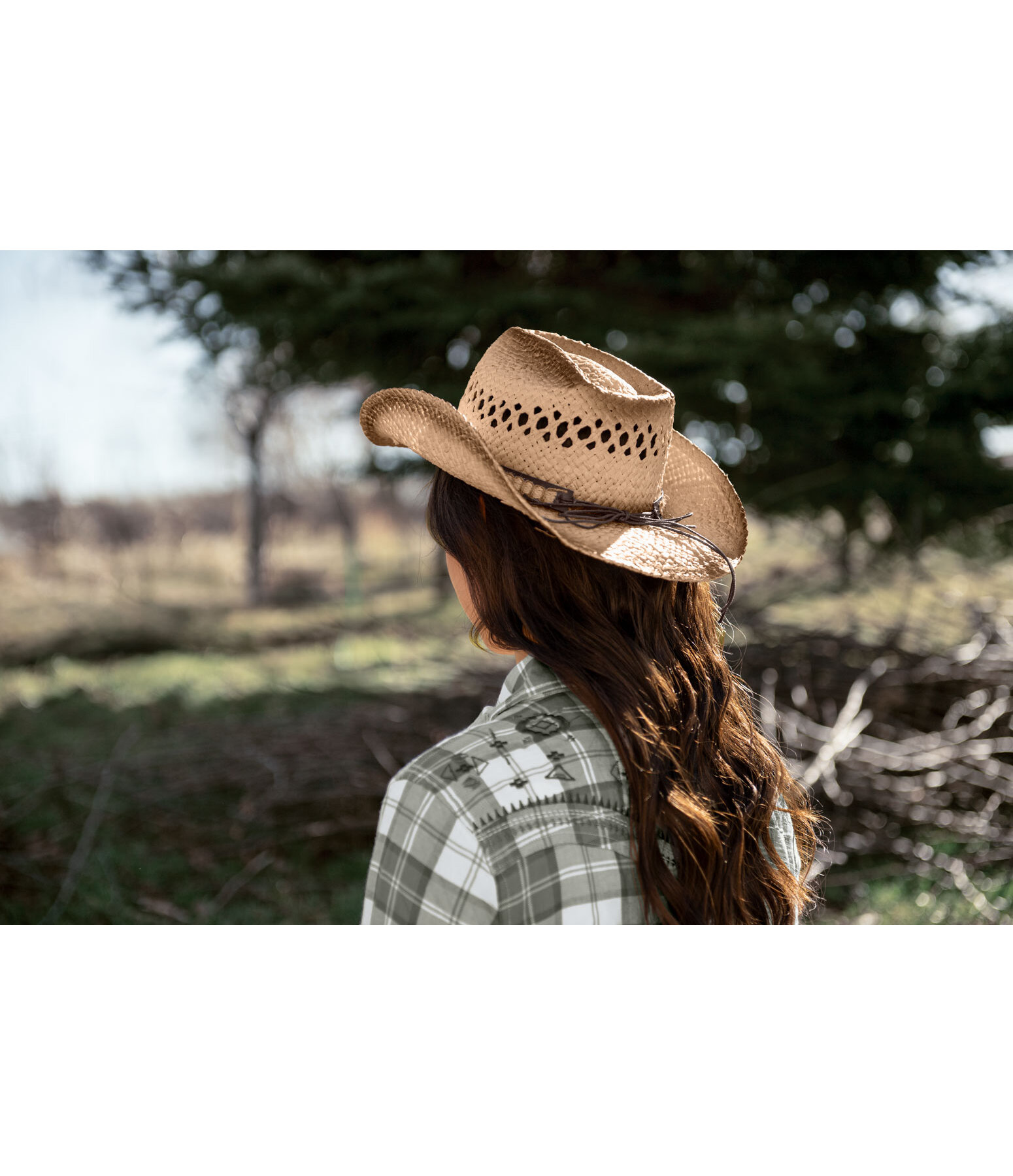 Straw Hat Longhorn