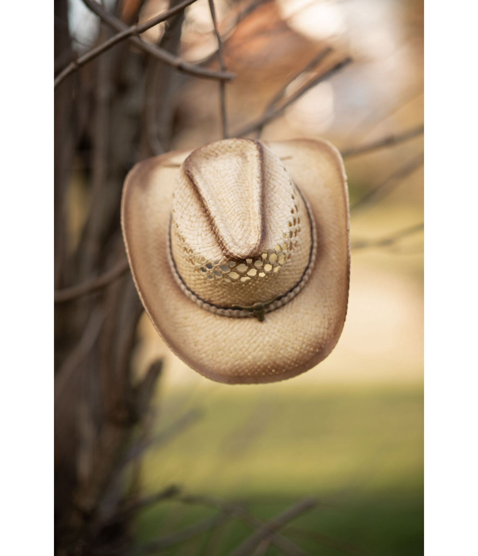 Straw Hat Longhorn