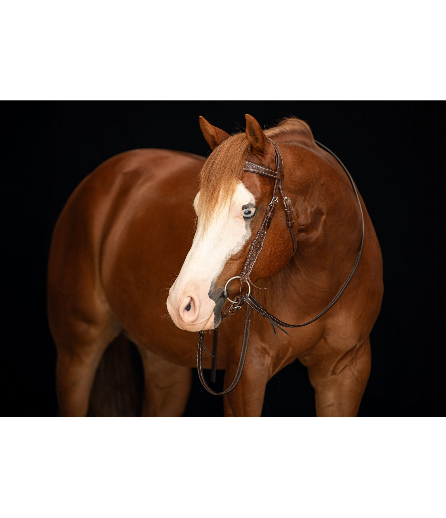 Western Headstall Valea