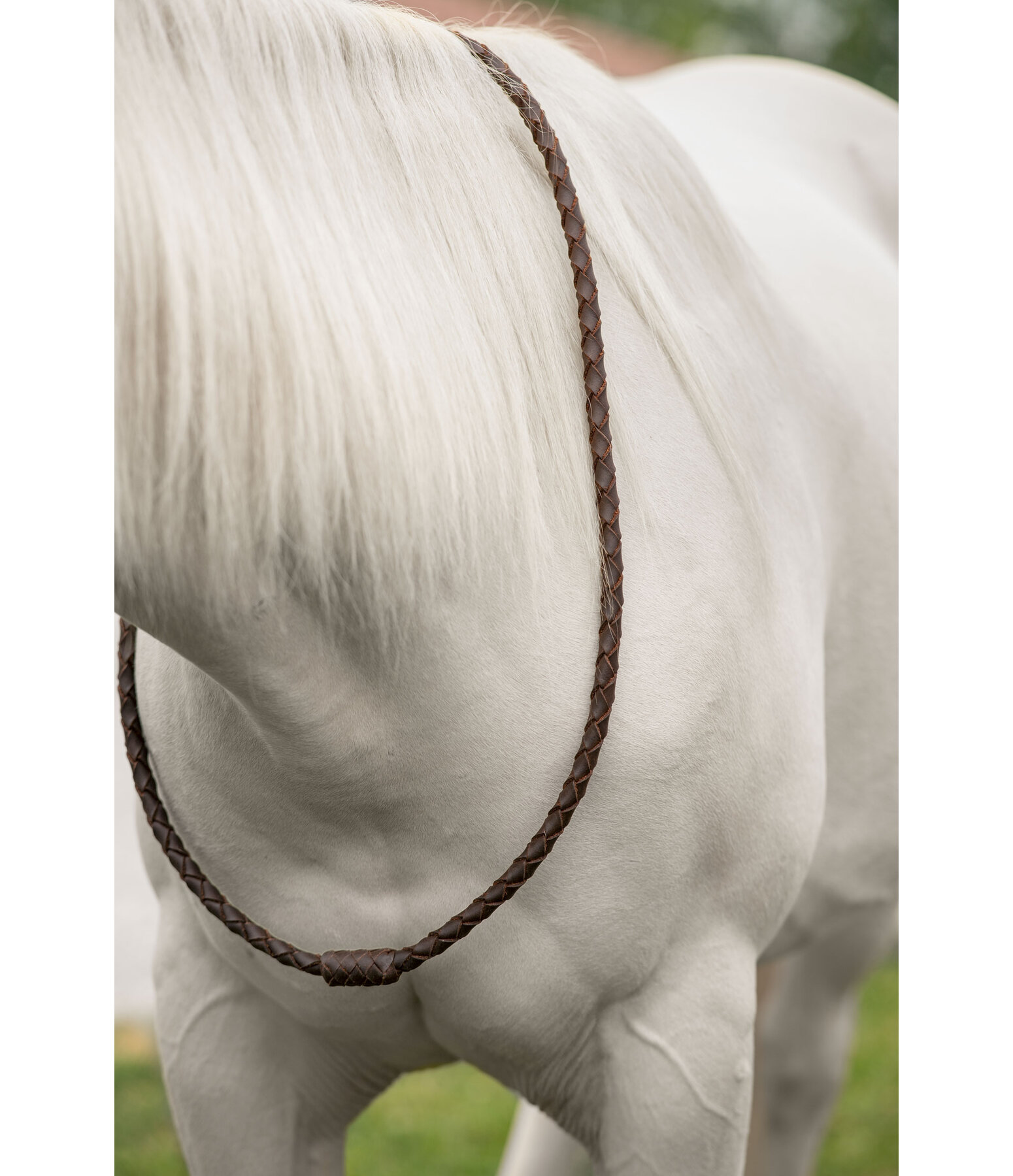 Leather Neck Ring Premium