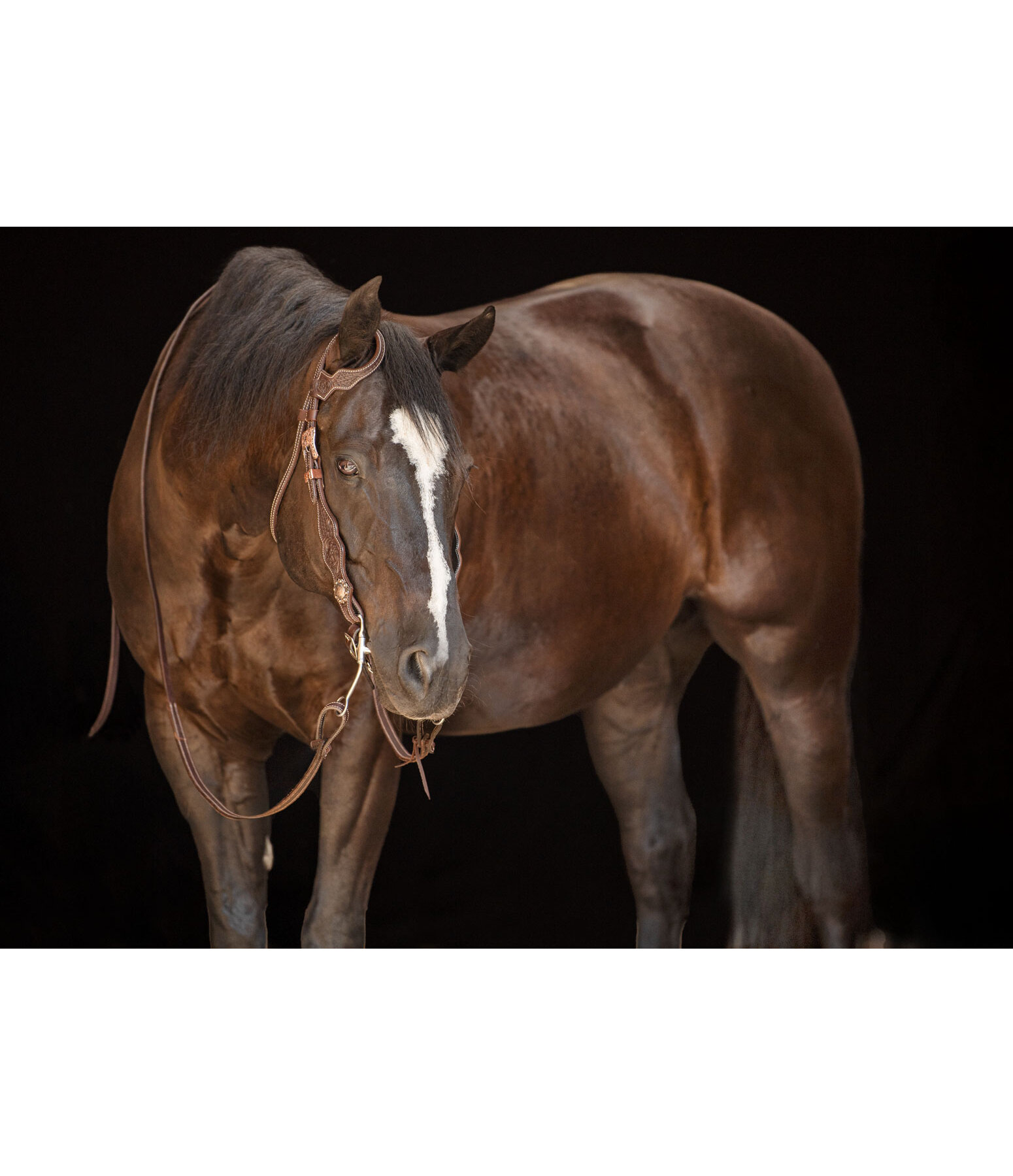 Western Headstall Copper