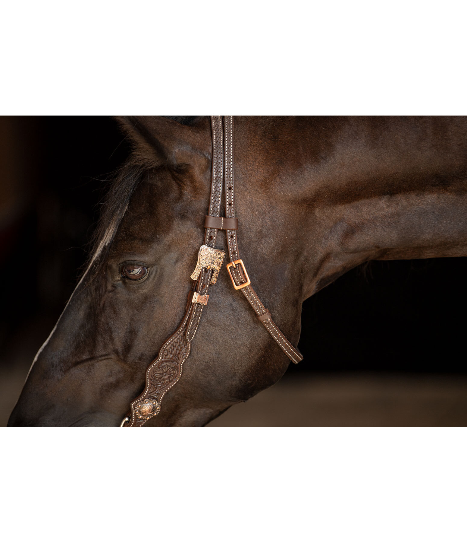 Western Headstall Copper