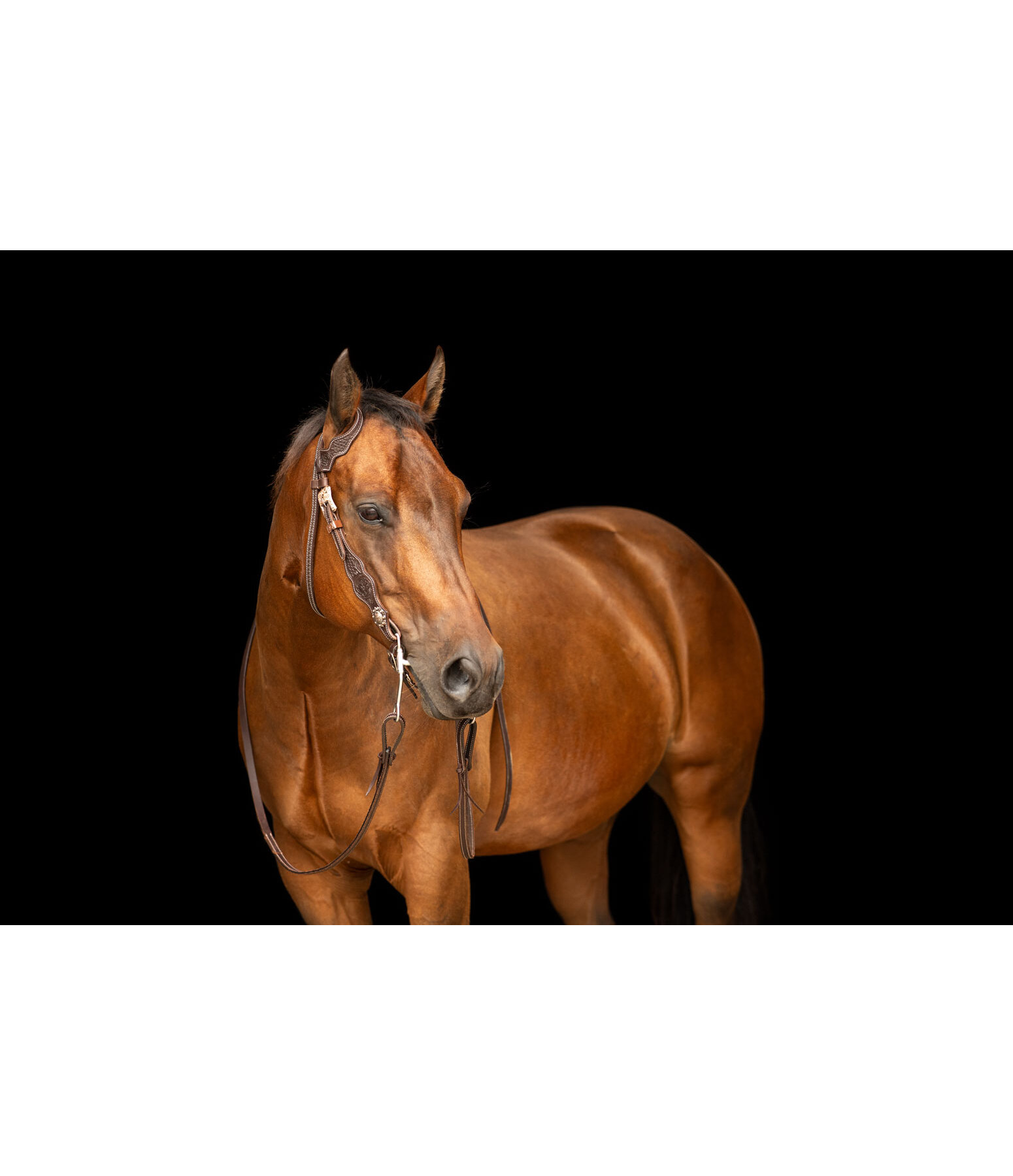 One Ear Headstall Copper