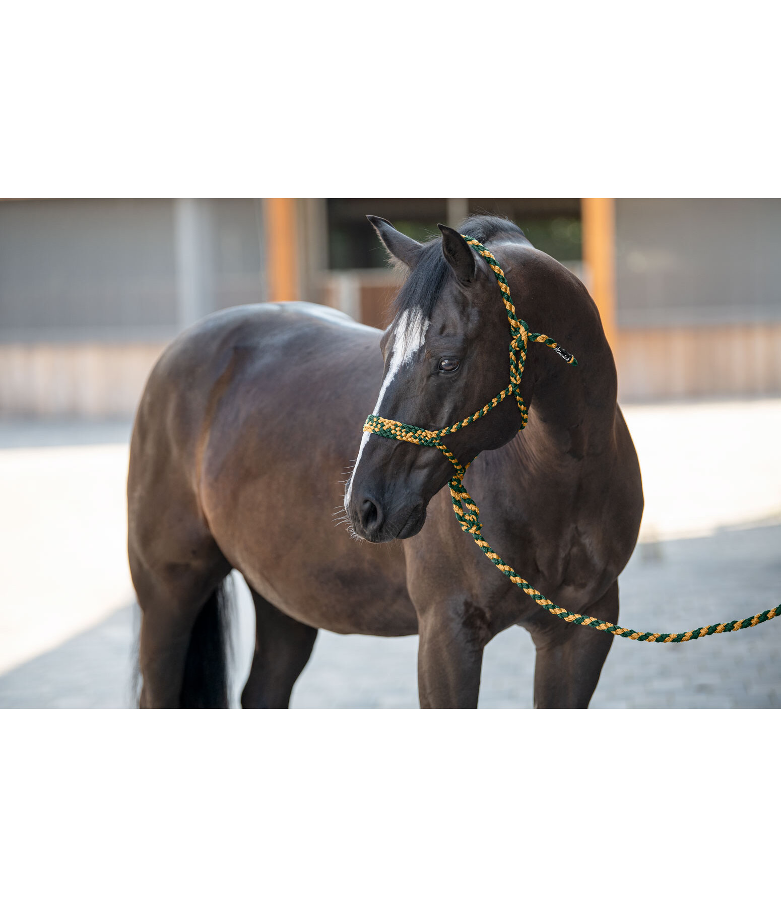 Rope Halter Set Soft