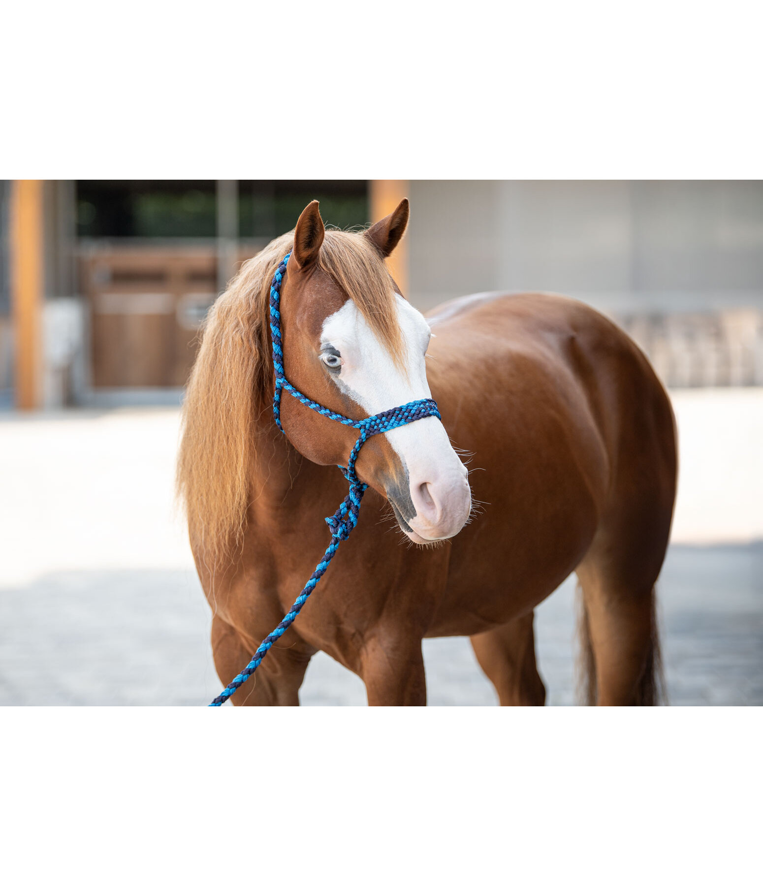Rope Halter Set Soft