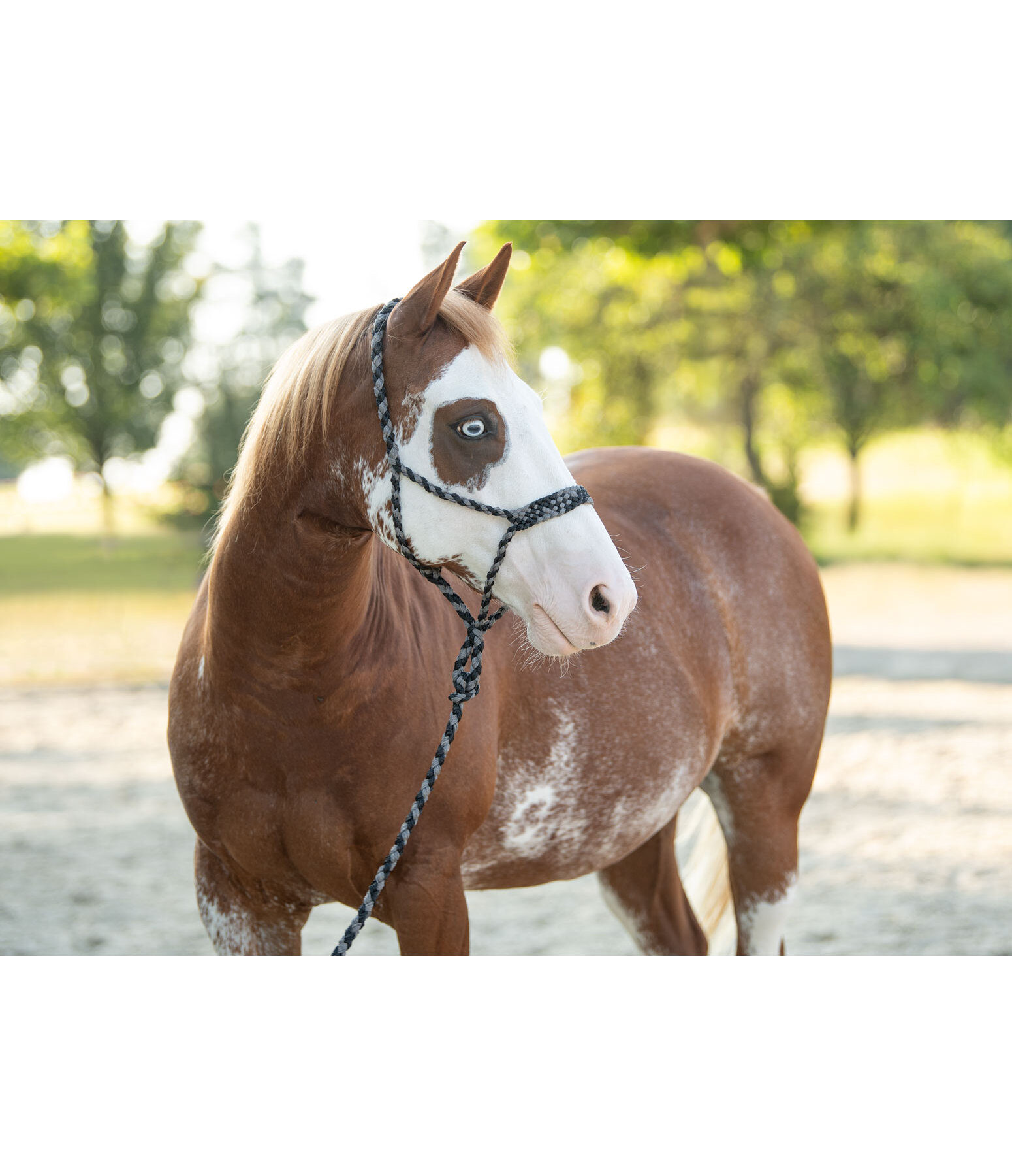 Rope Halter Set Soft