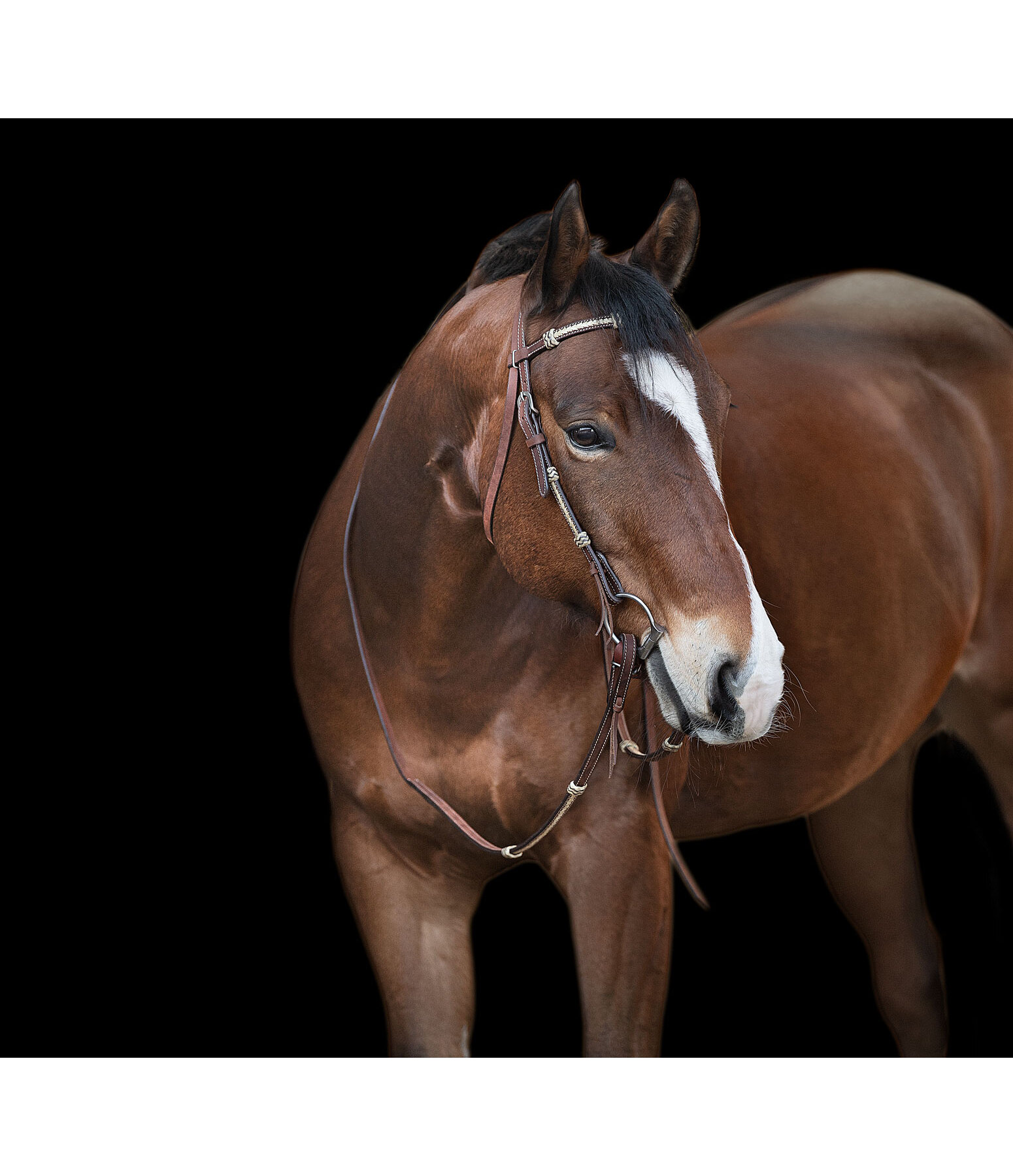 Headstall Braided Rawhide