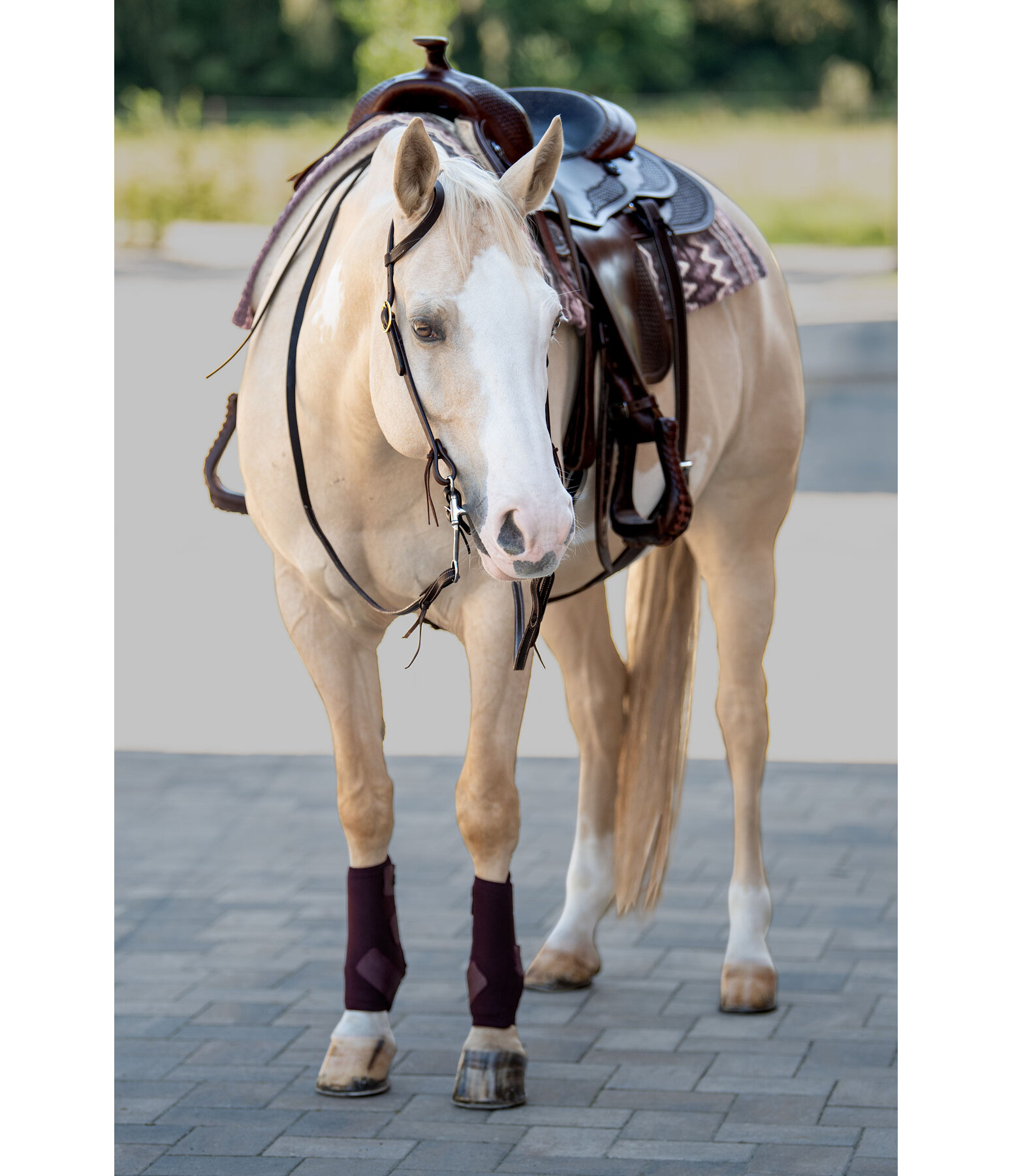 One-Ear Training Headstall Harness