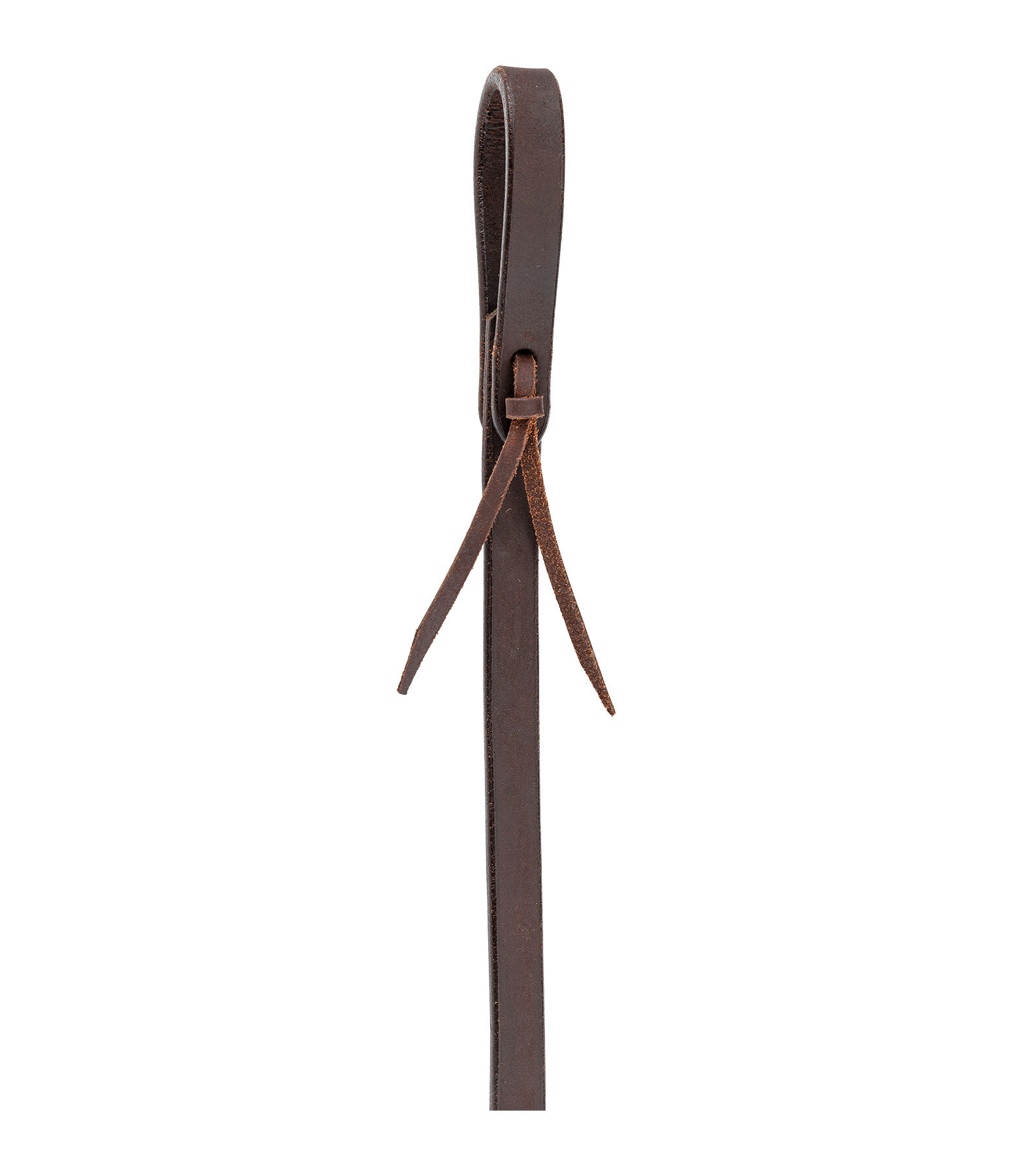 Western Reins Harness