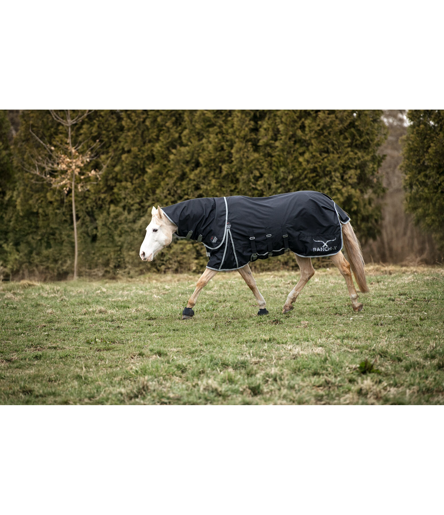 Turnout Rug All-Rounder Nylon