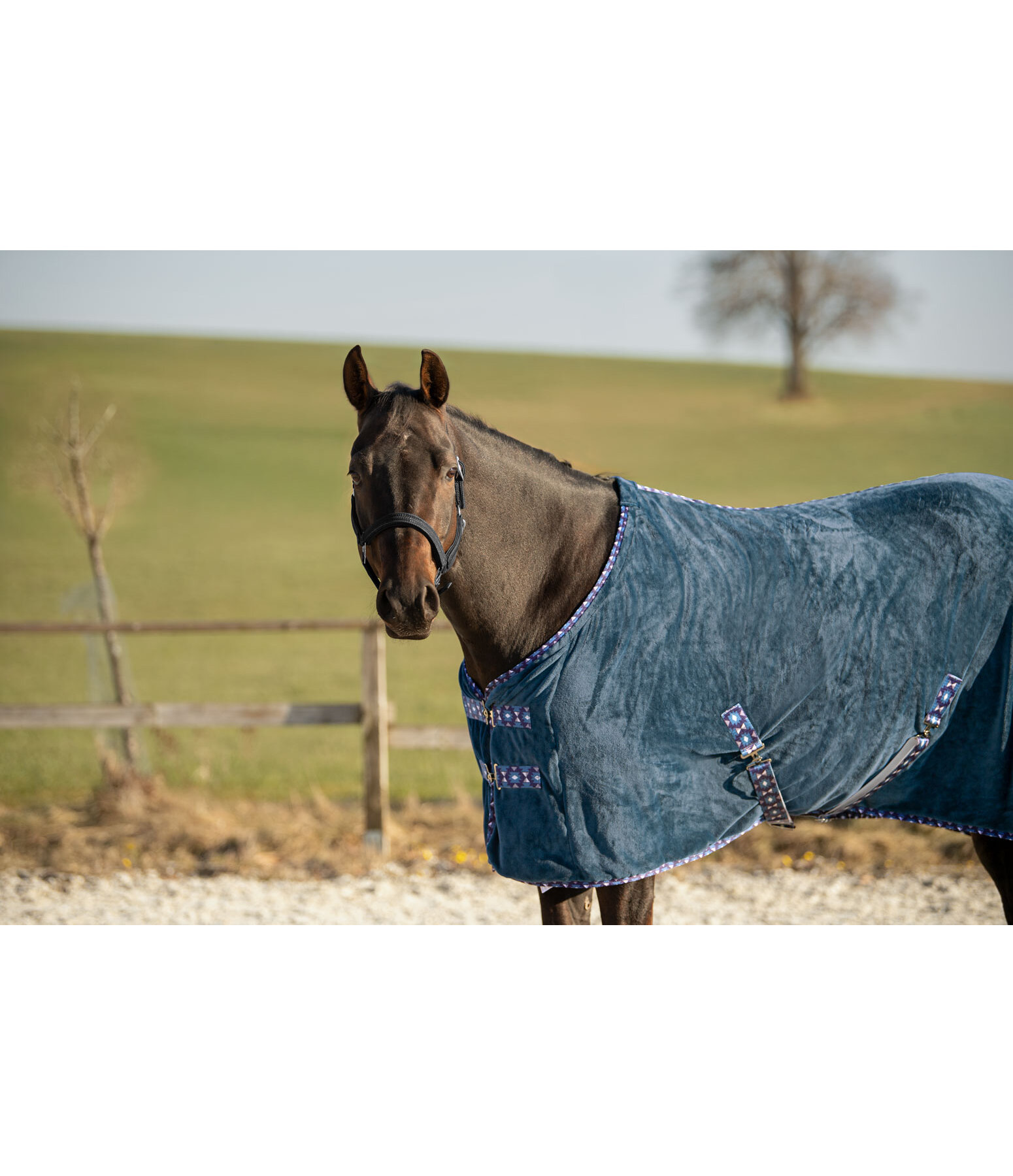 Wicking Rug Sitka