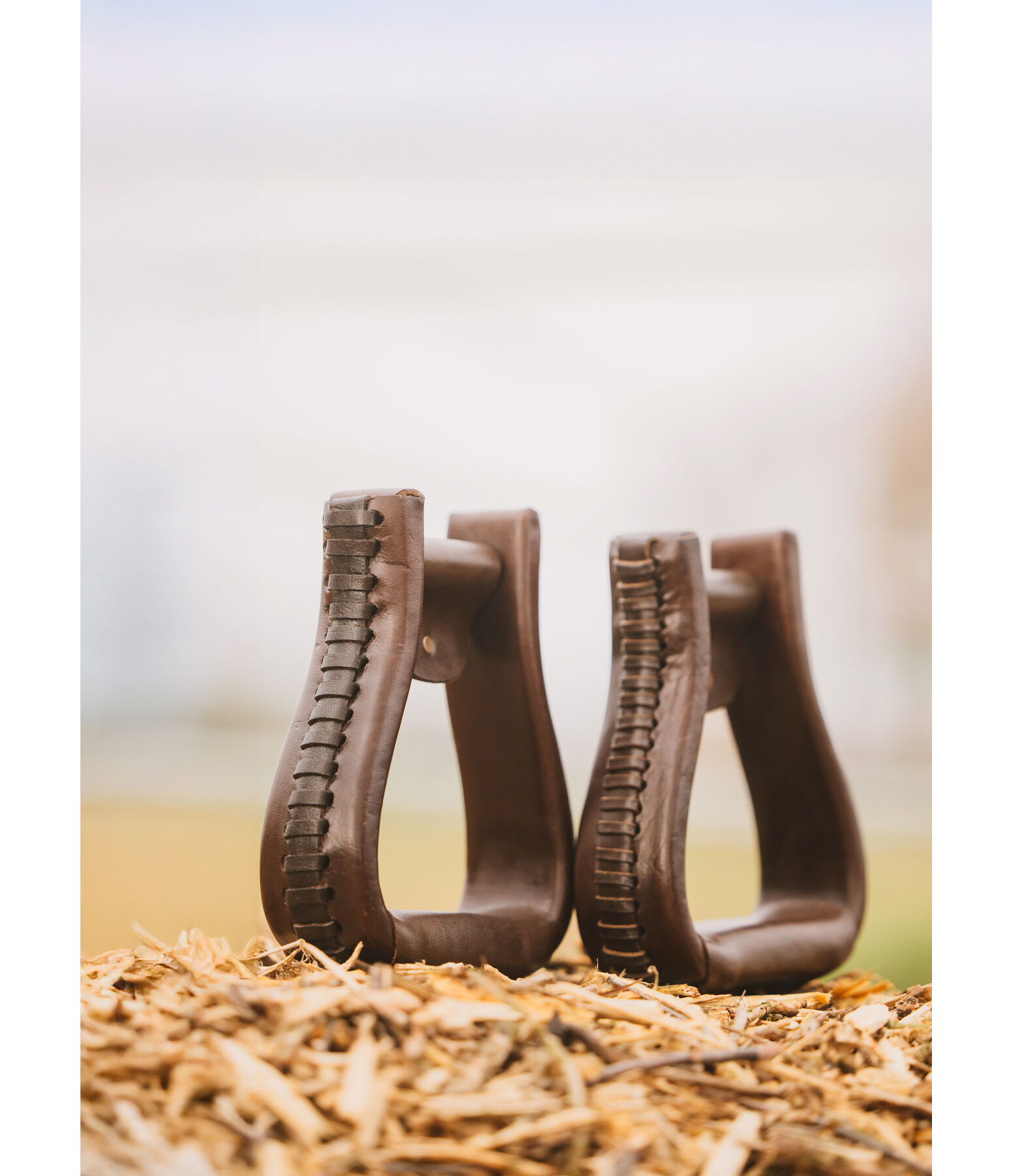 Leather Stirrups