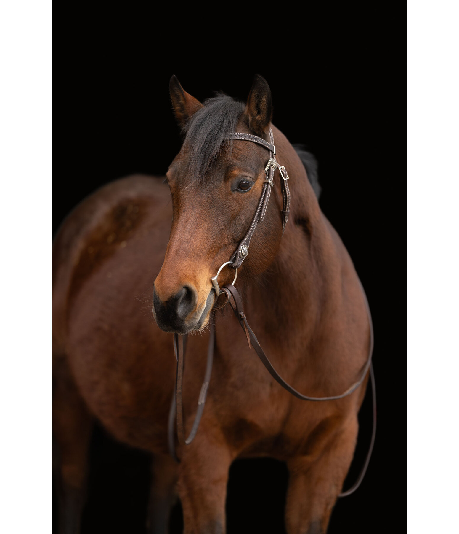 Headstall Leaves