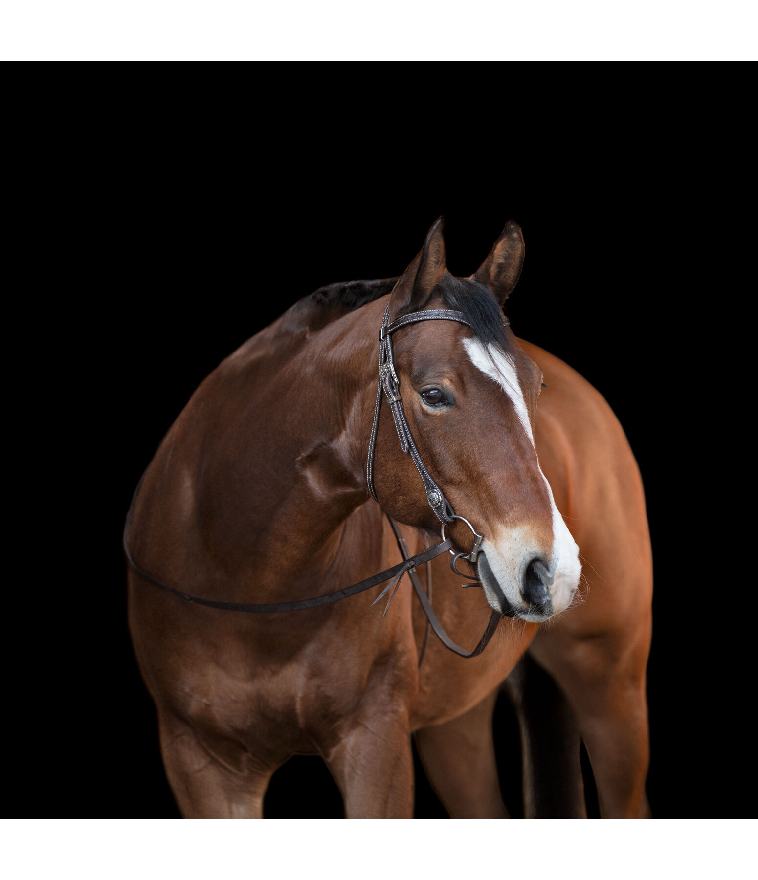 Headstall Leaves