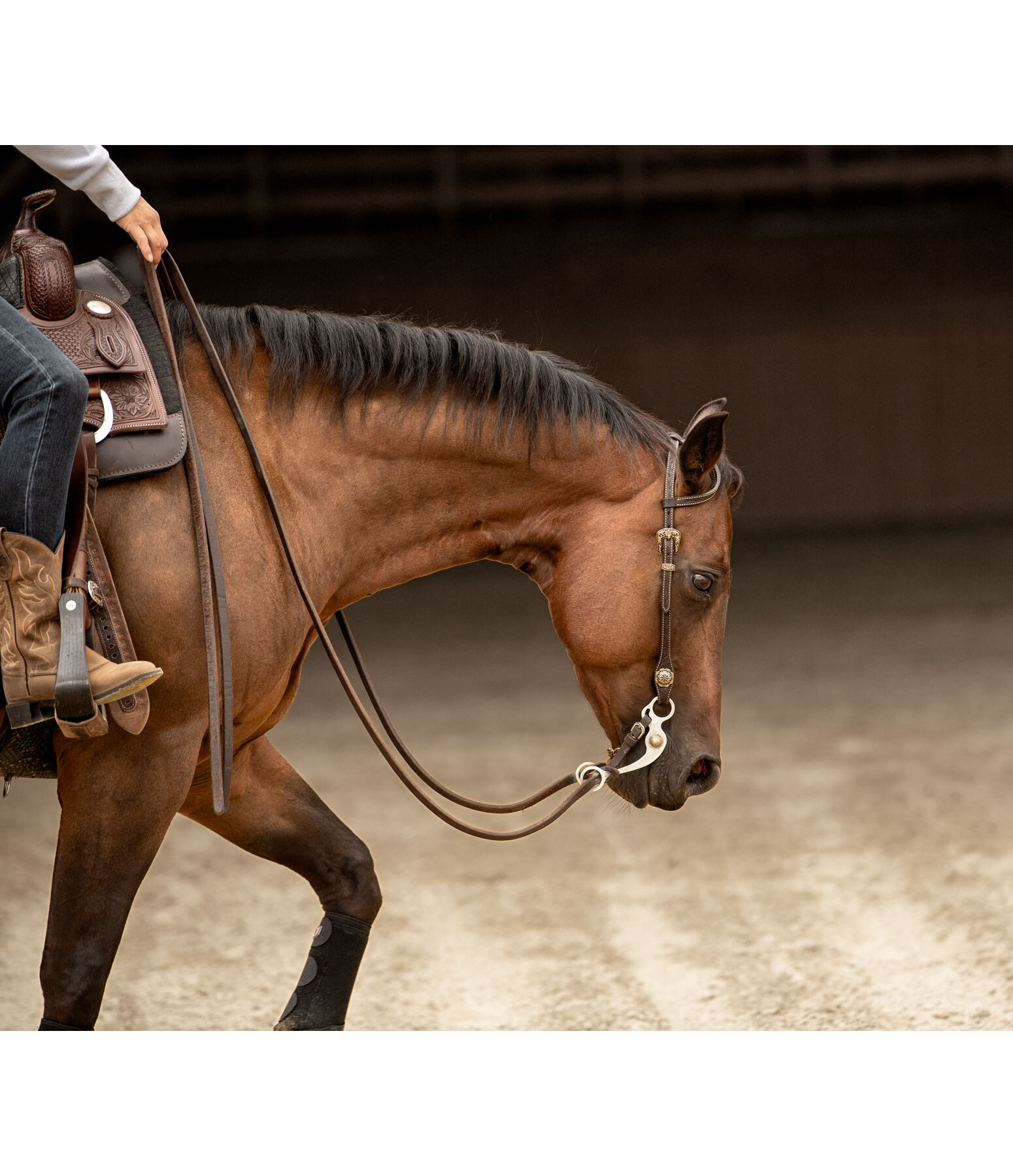Two Ear Headstall Leaves
