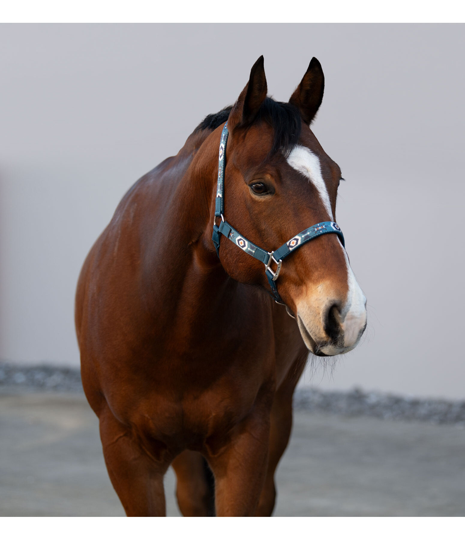 Headcollar Sumailla