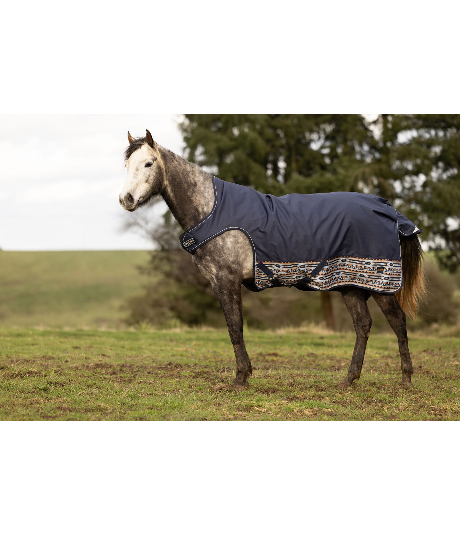 Outdoor High Neck Walker Remy