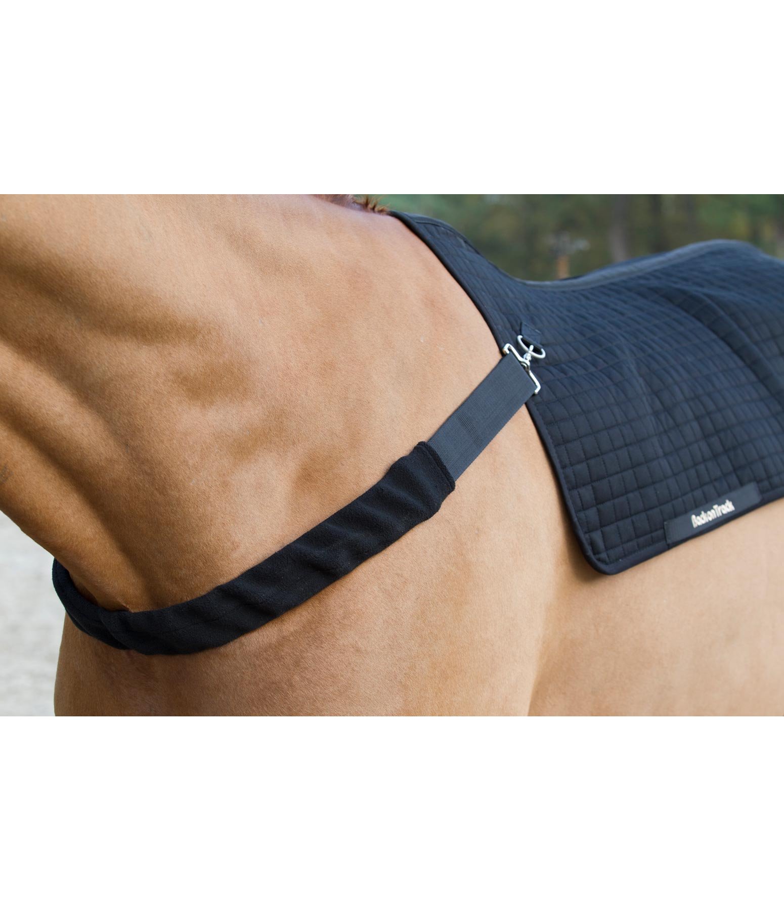 Chest Strap for Horseback Warmer Royal