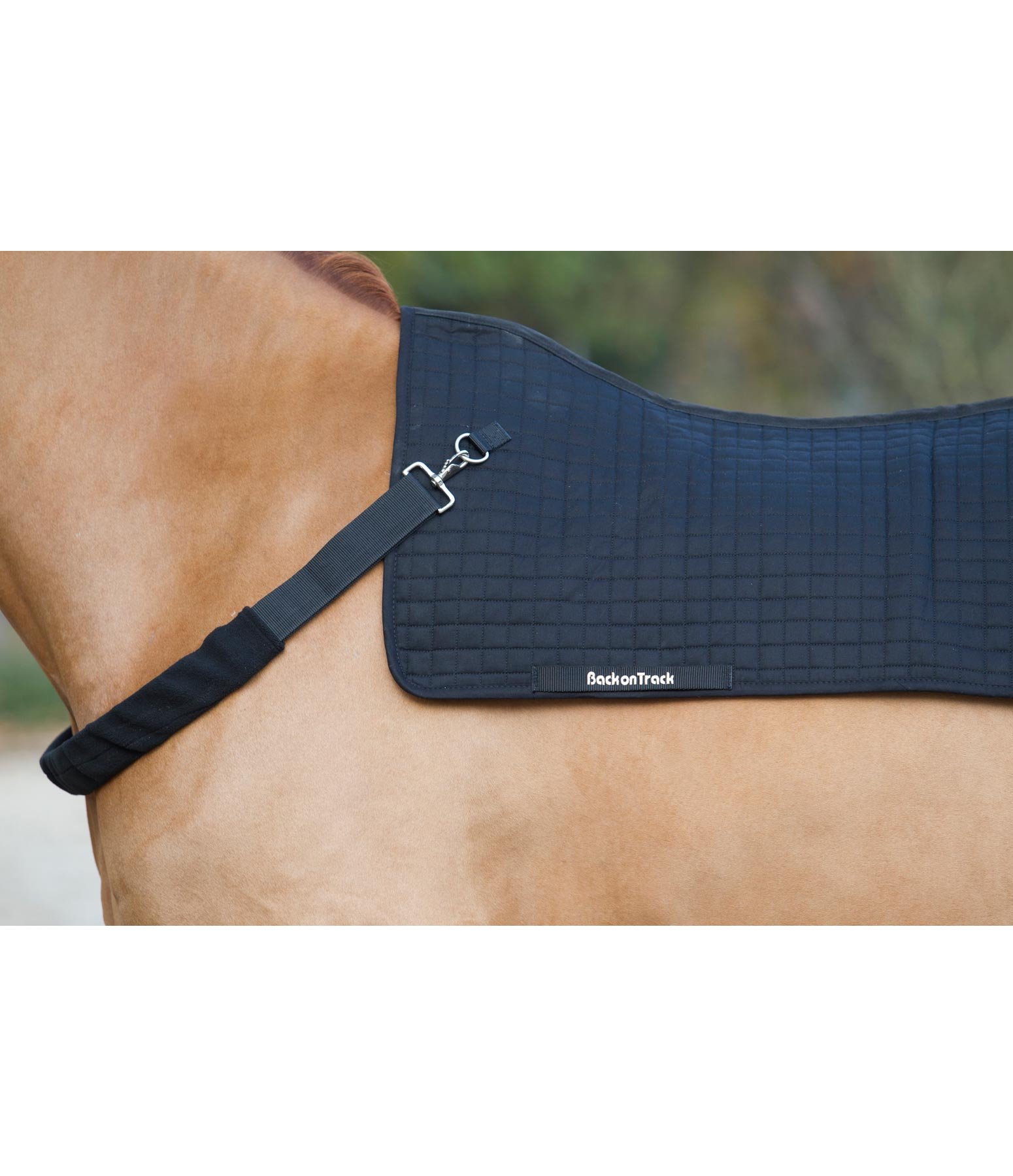 Chest Strap for Horseback Warmer Royal