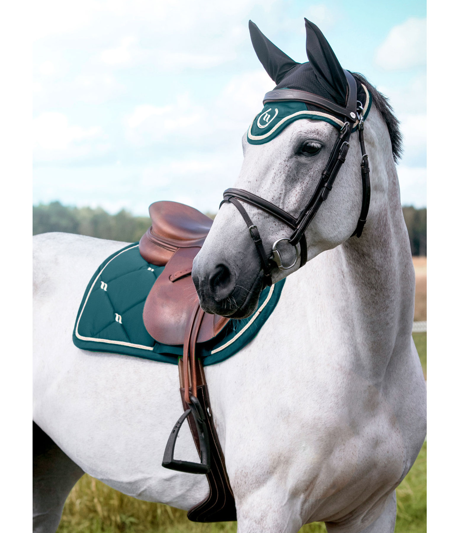 Вальтрап Equestrian конкур