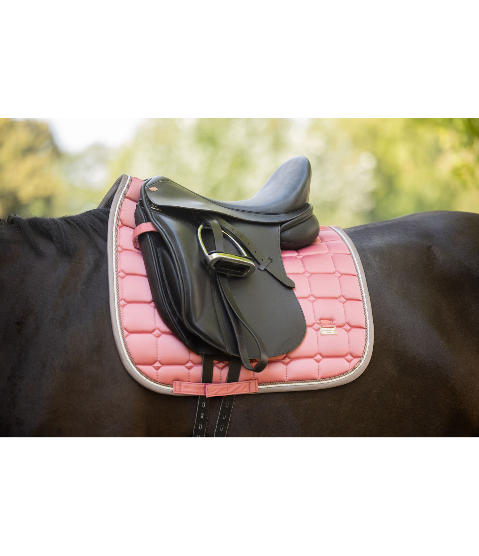 Saddle Pad Essential