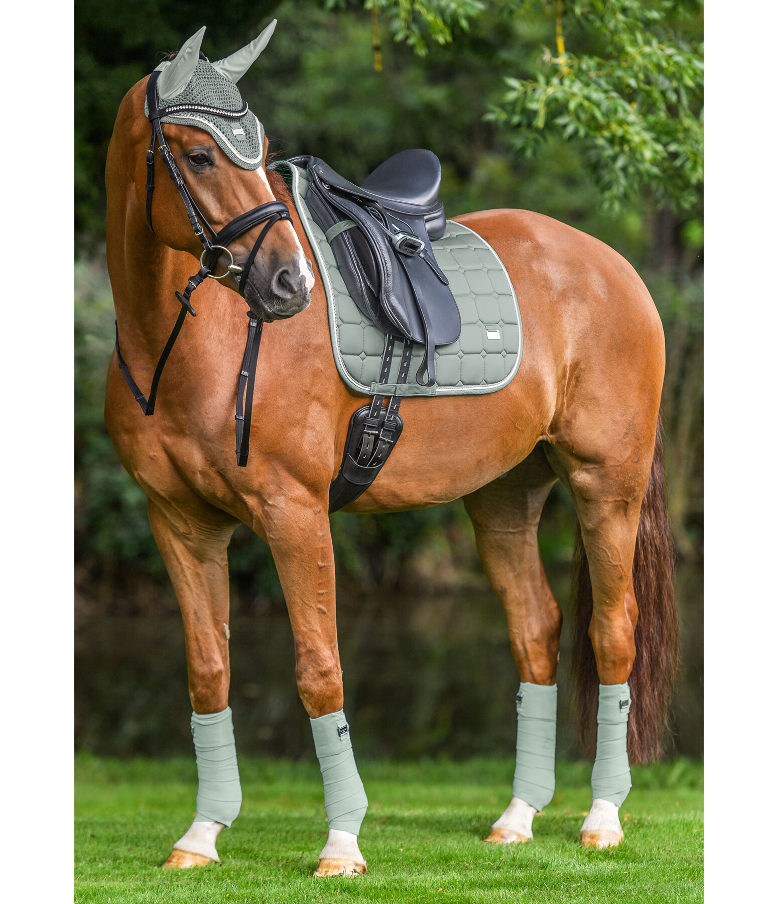 Saddle Pad Essential Saddle Pads & Numnahs Kramer Equestrian