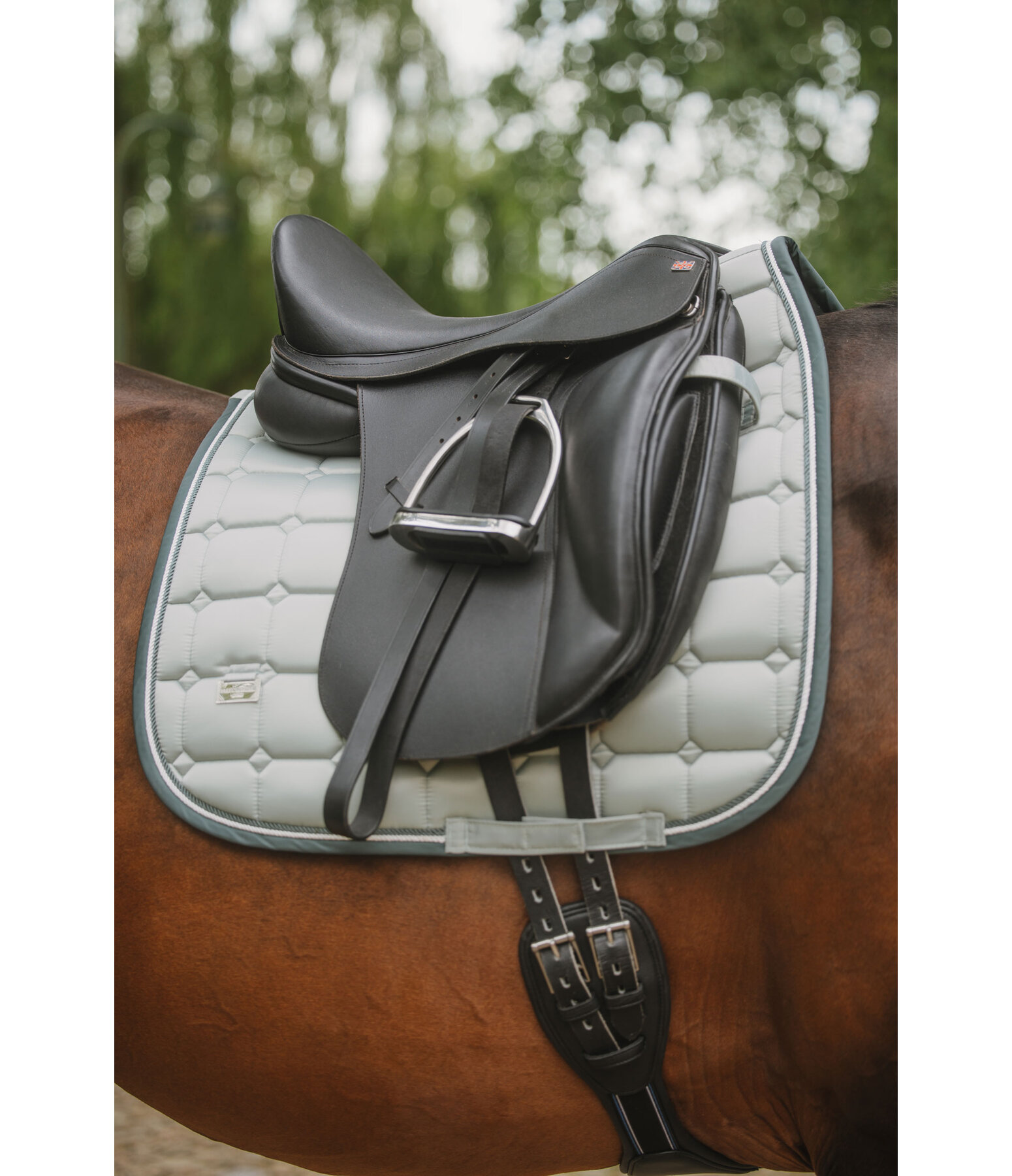Saddle Pad Essential