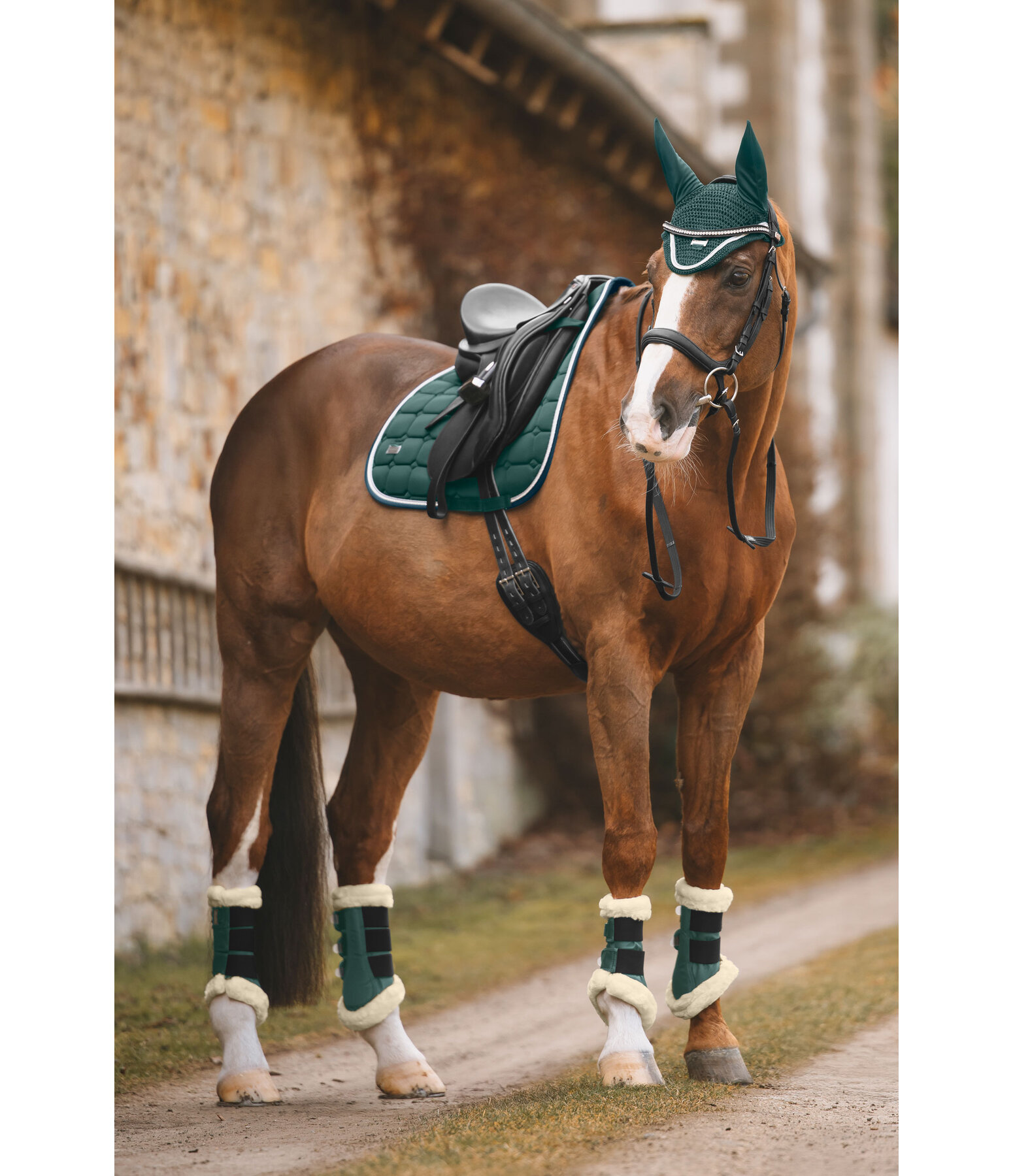 Saddle Pad Essential