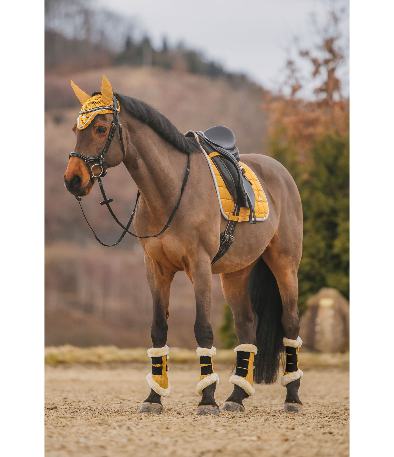 Saddle Pad Essential