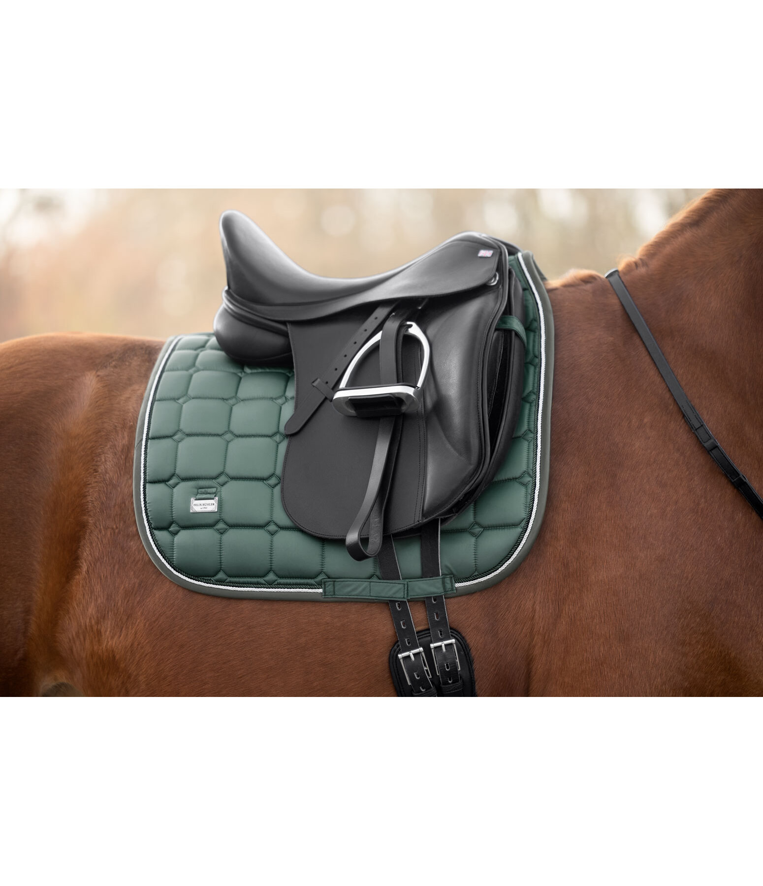Saddle Pad Essential