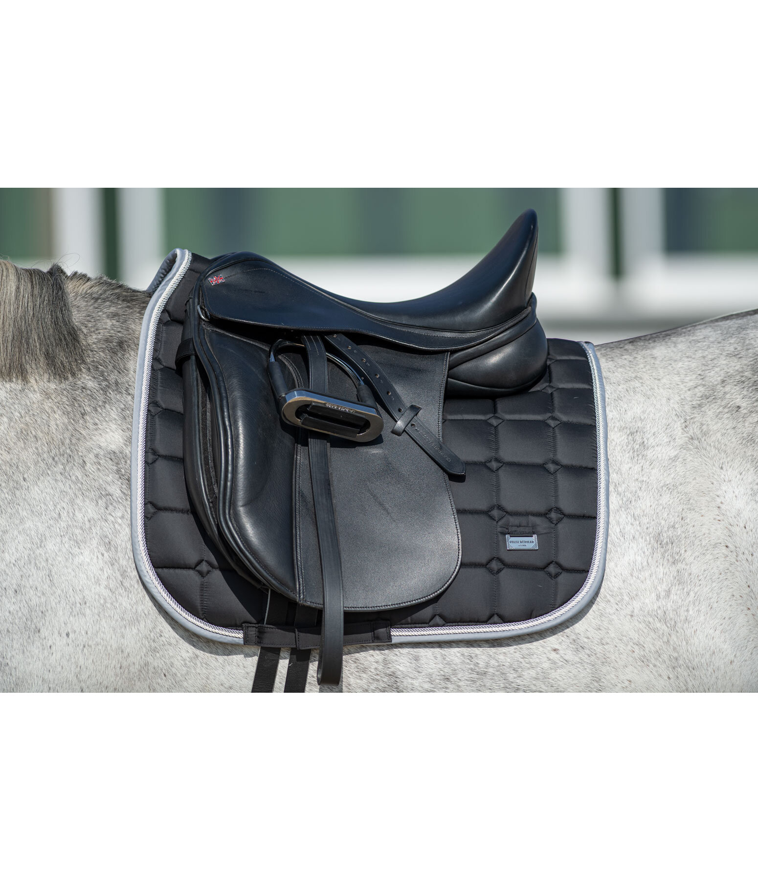 Saddle Pad Essential