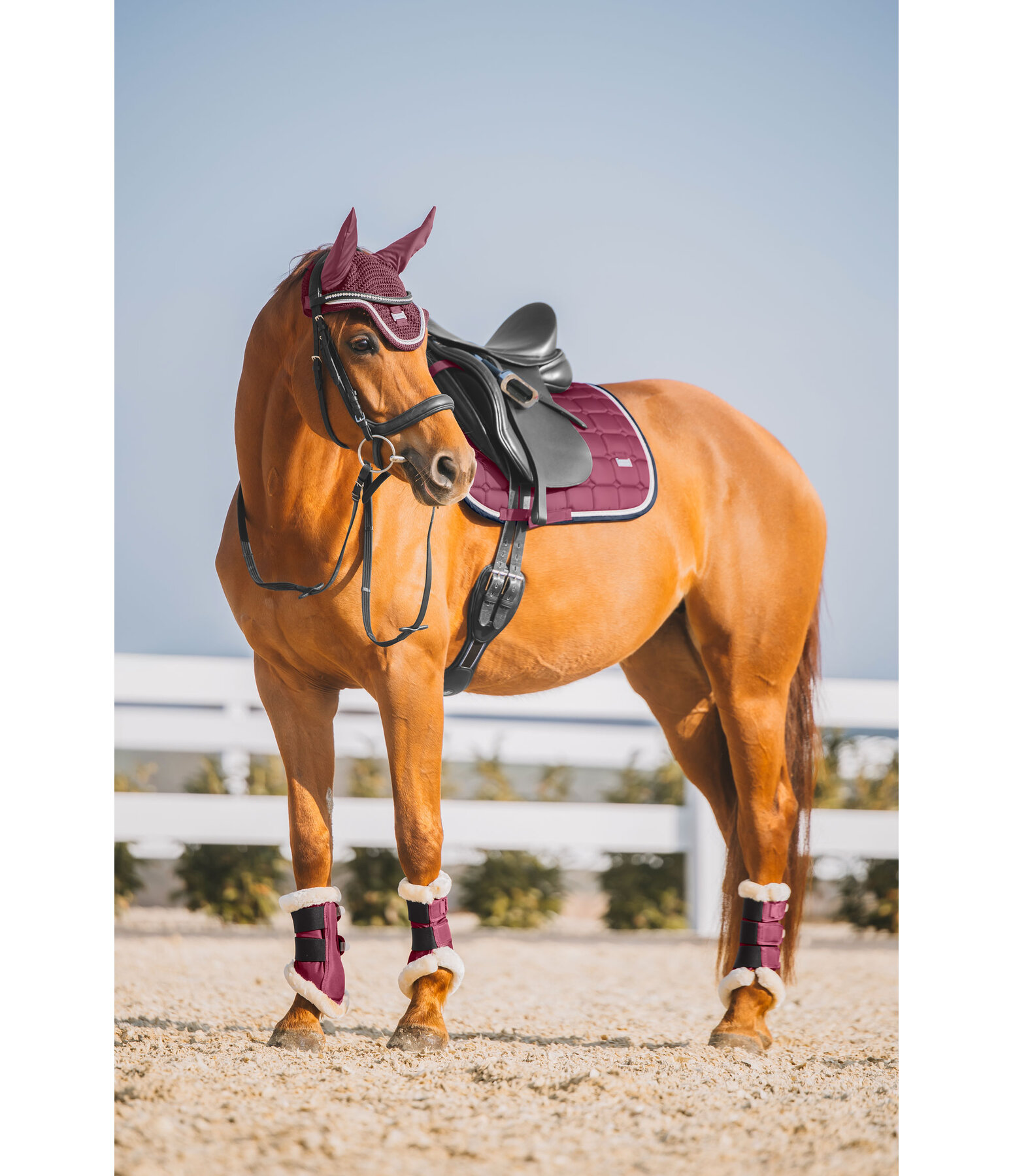 Saddle Pad Essential