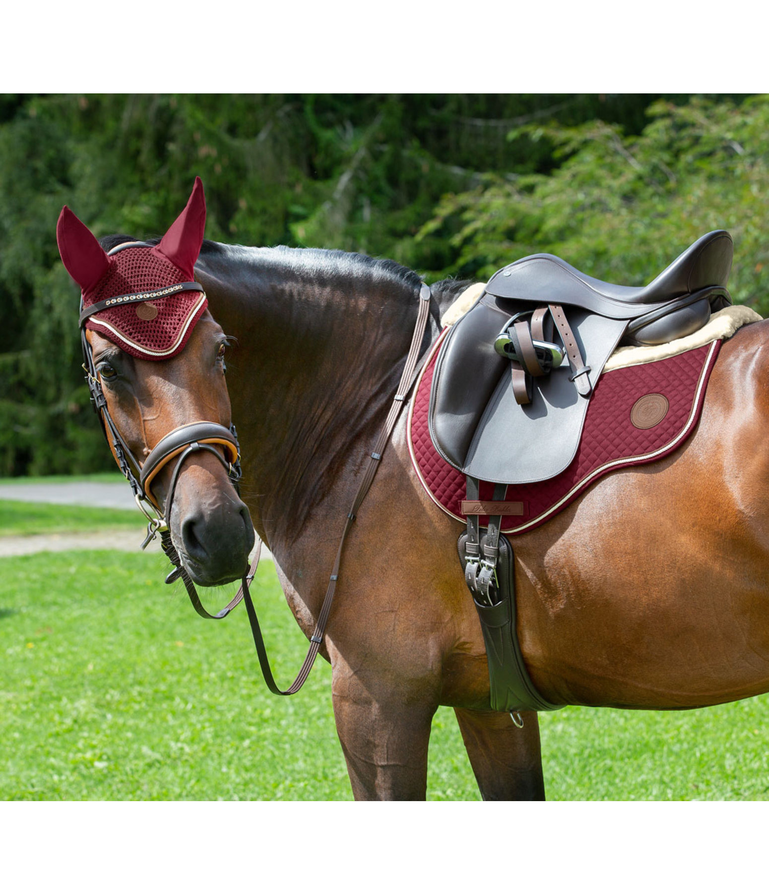 Teddy Fleece Saddle Pad Timeless Elegance Kramer Equestrian