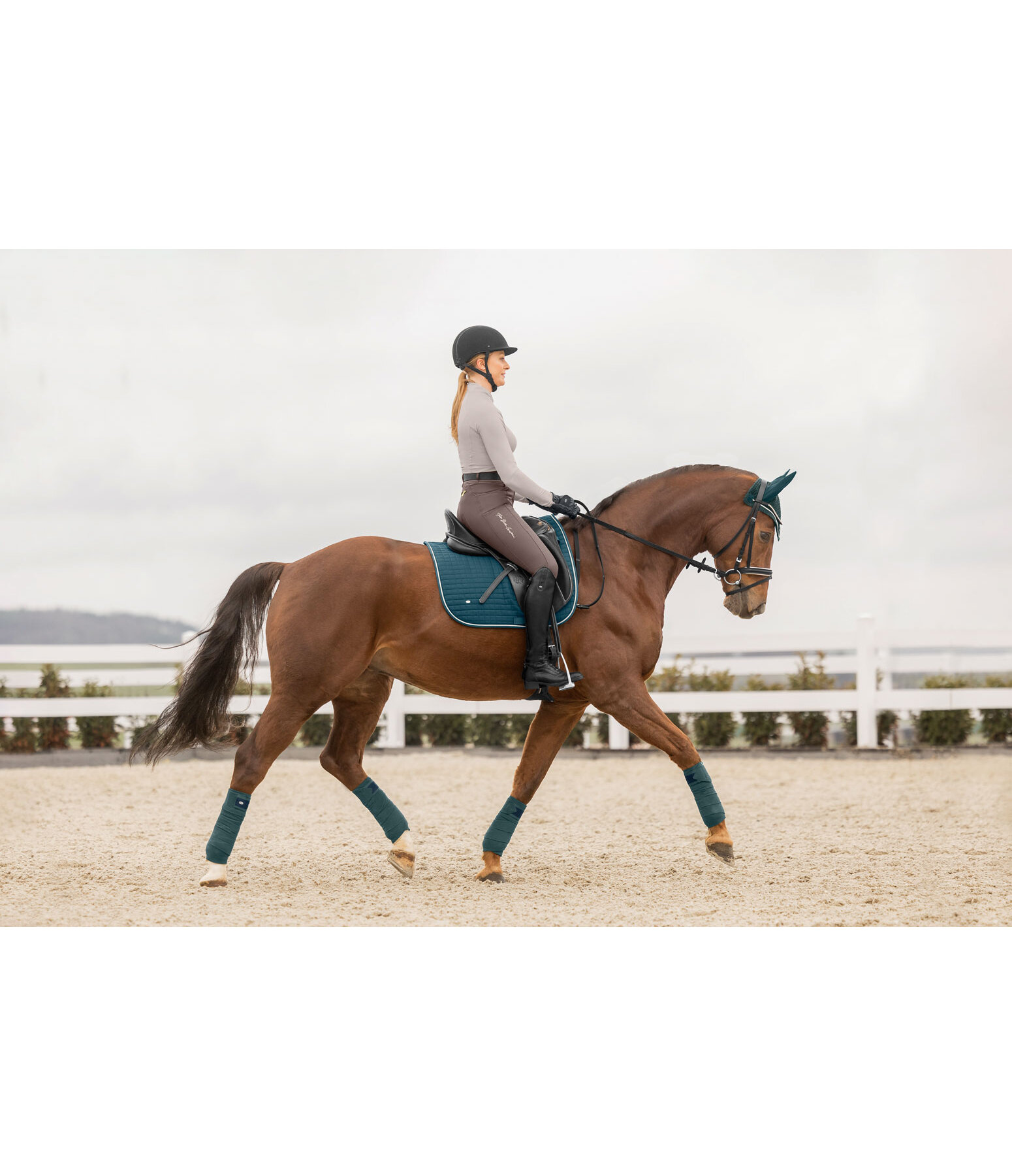 Saddle Pad Basic